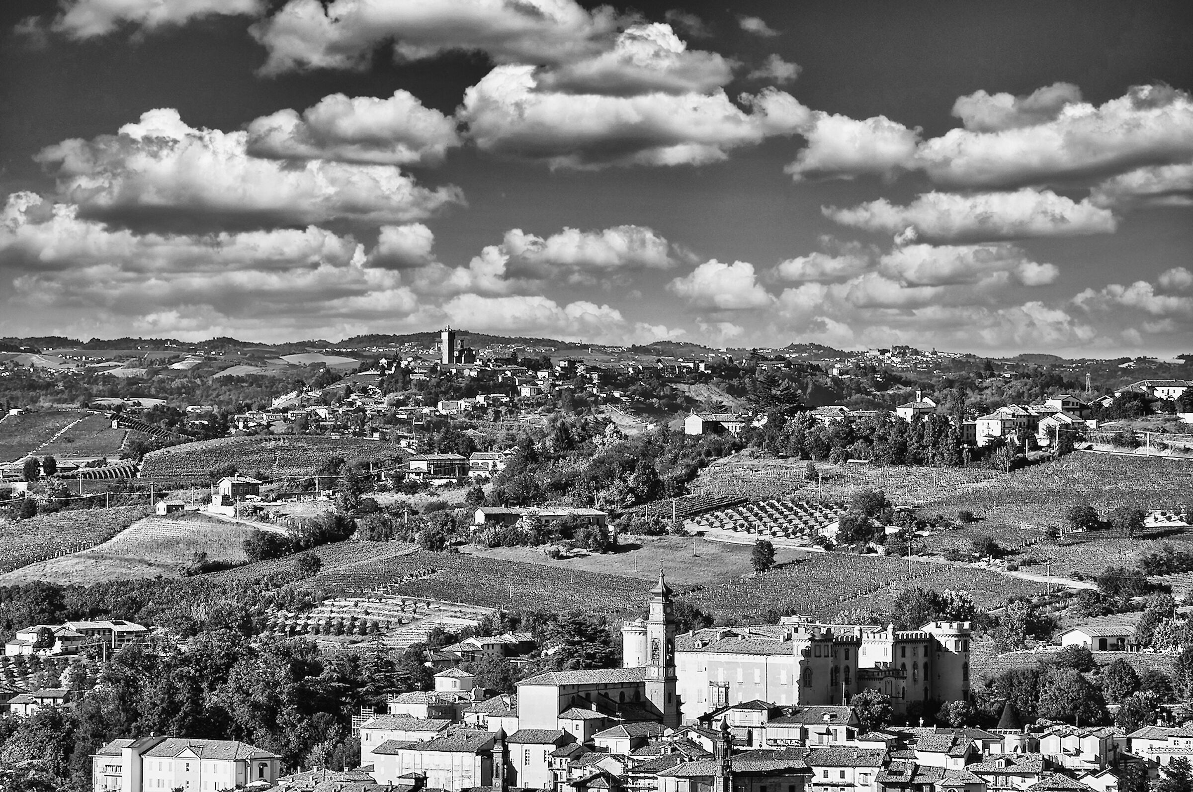 Vineyards and castle