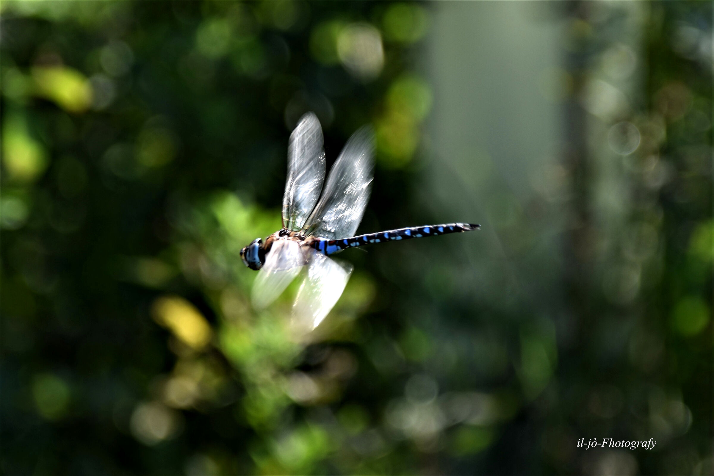 Untitled Photo