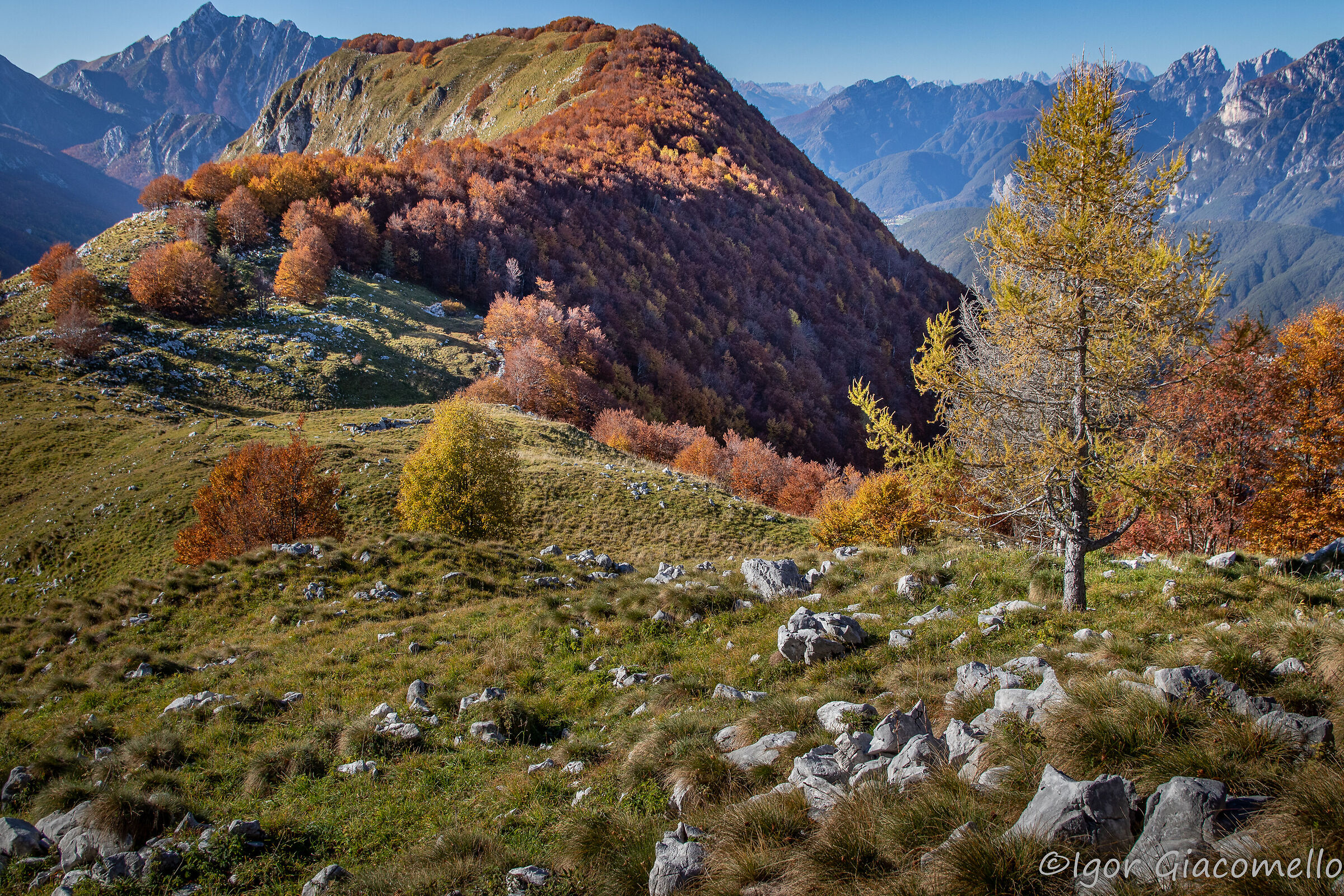 Autunno a Sella Carnizza