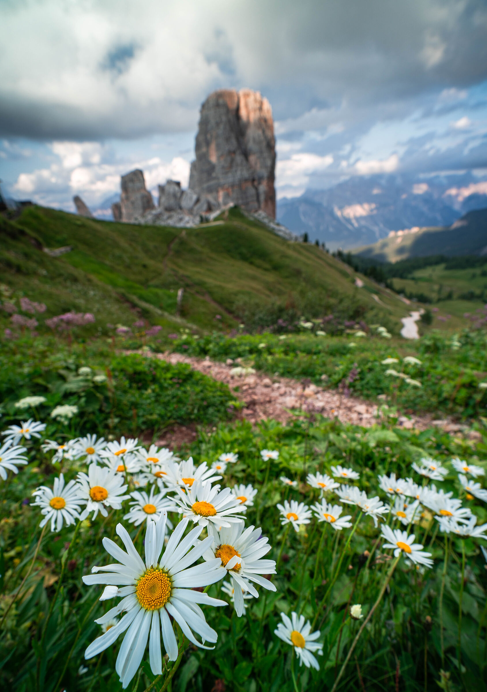 a sunnny day in 5 torry