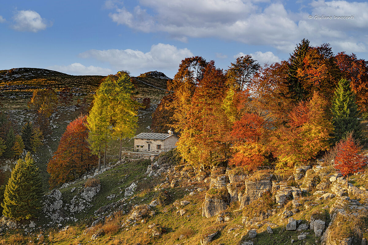 autumn at Malga Broleto-Lessinia