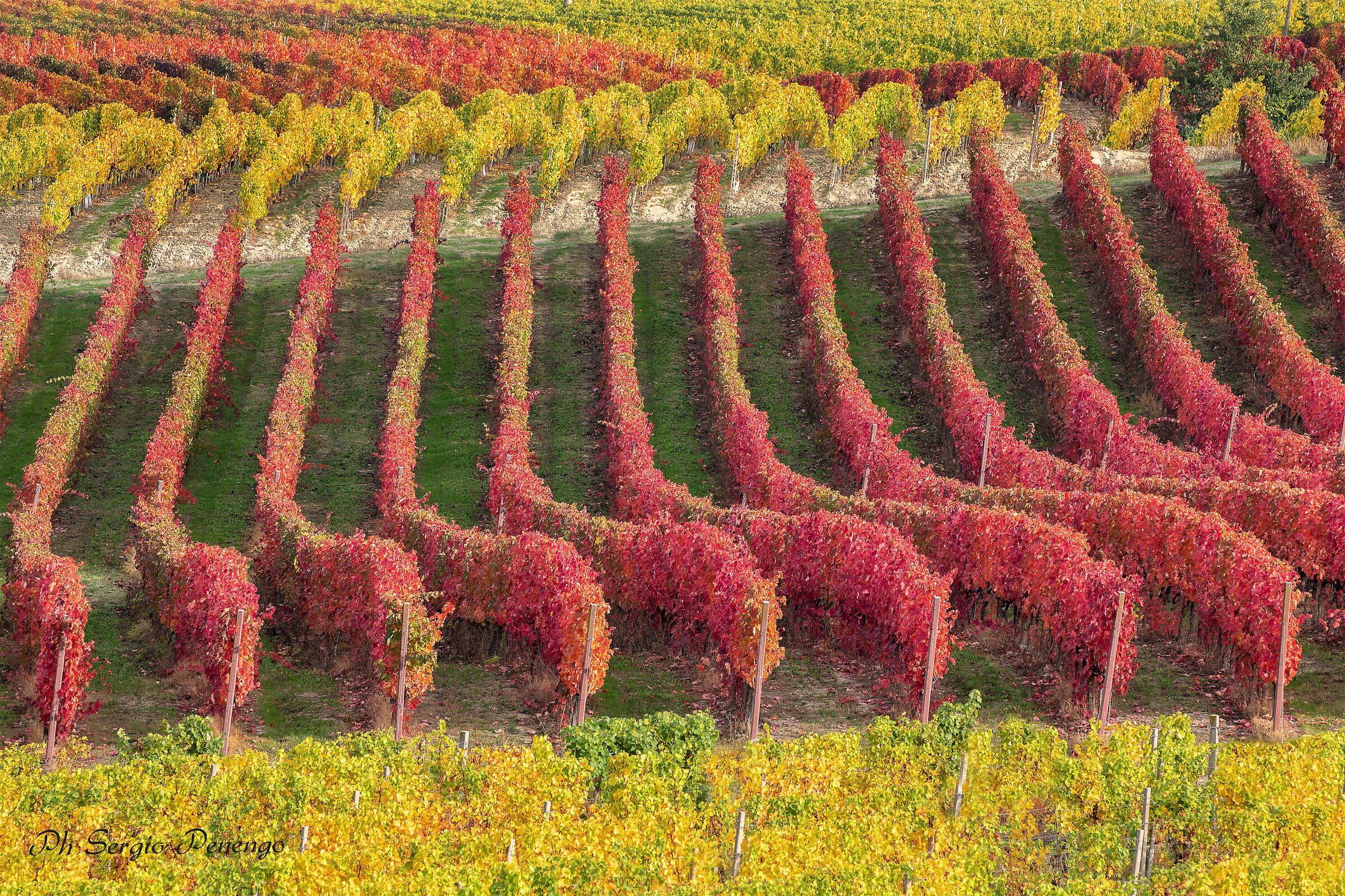 "Autunno nel  Monferrato"