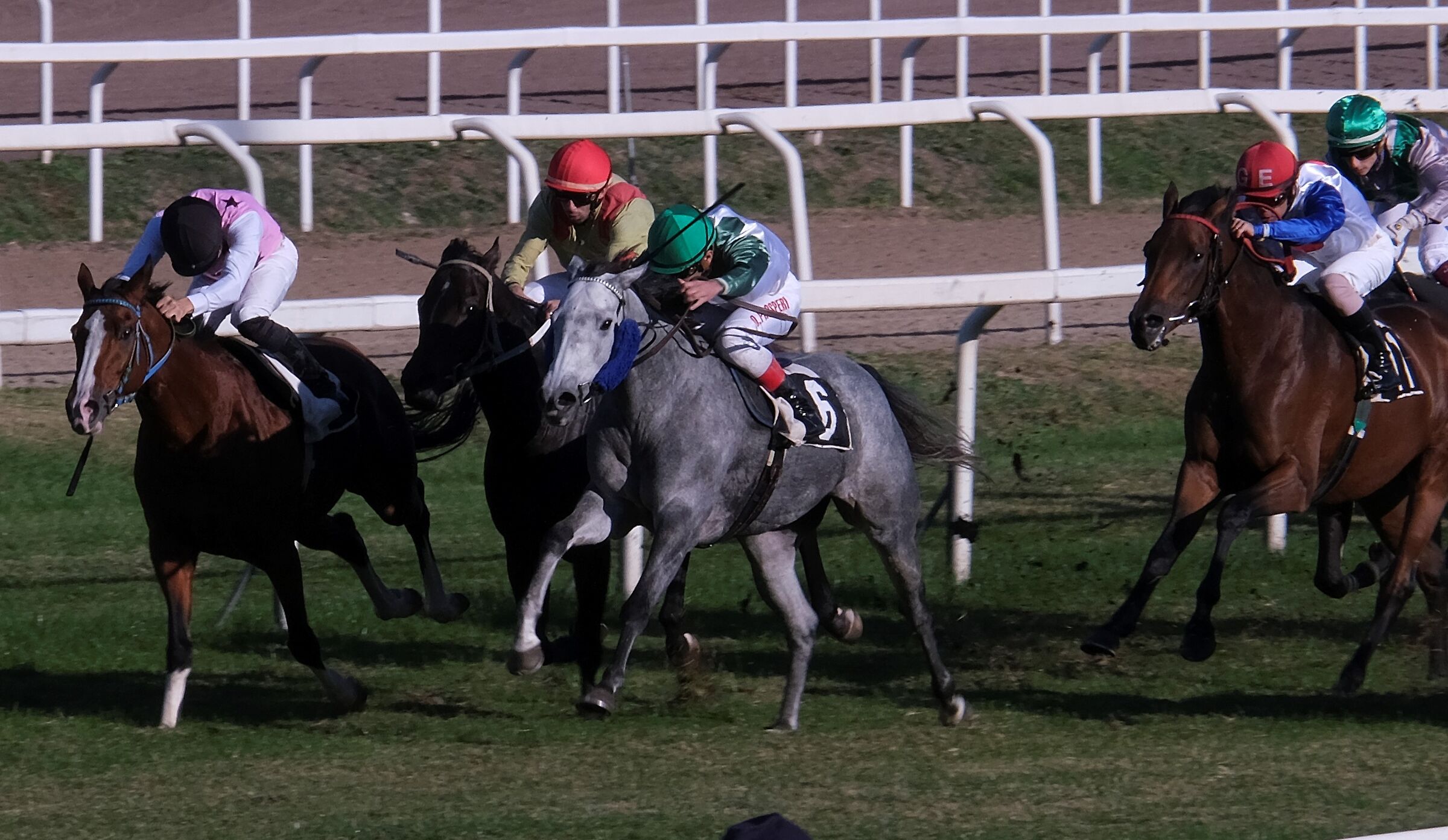 Febbre da cavallo...