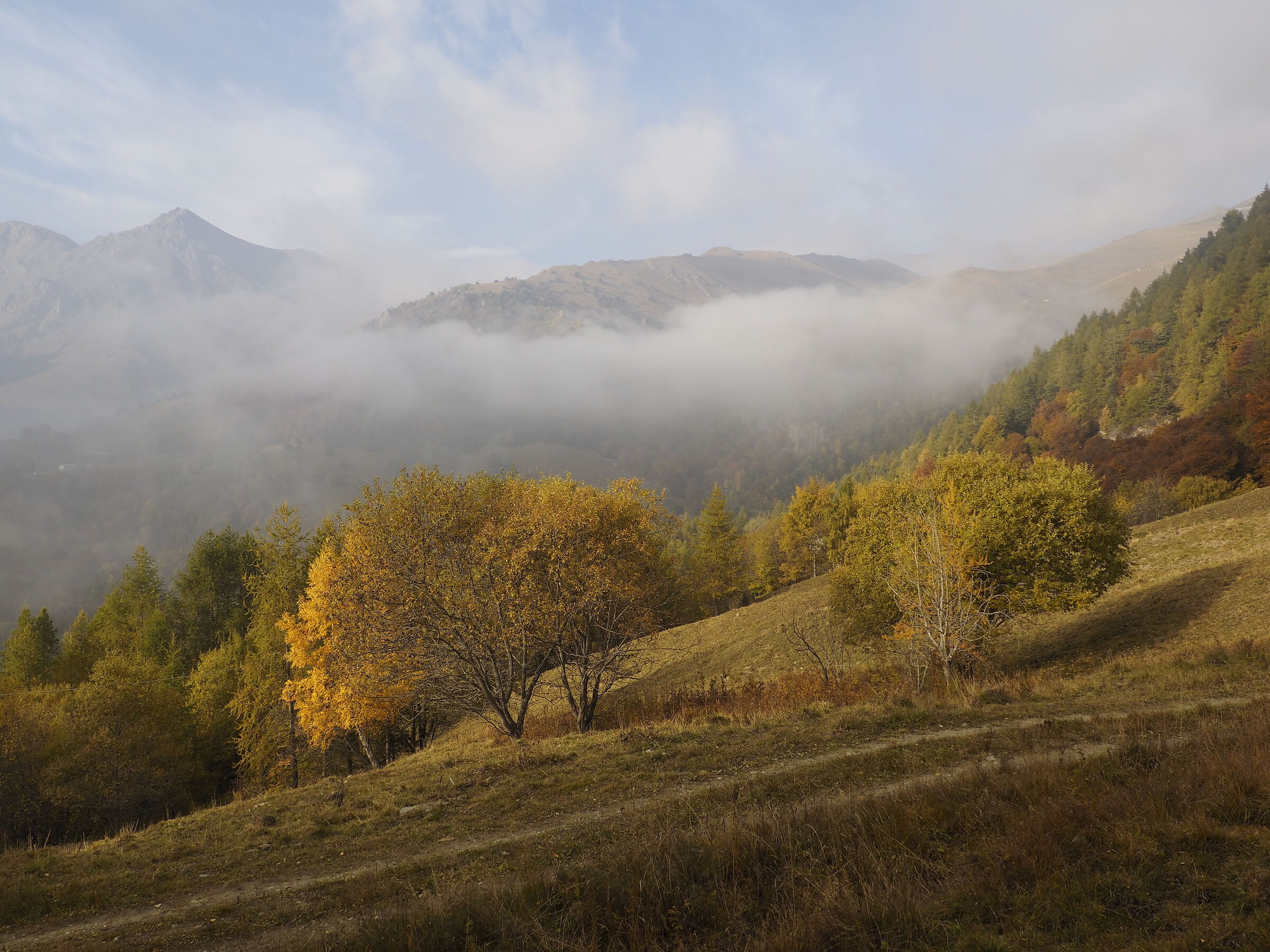 Autumn at Alpe Goia. (Condove. Turin.)