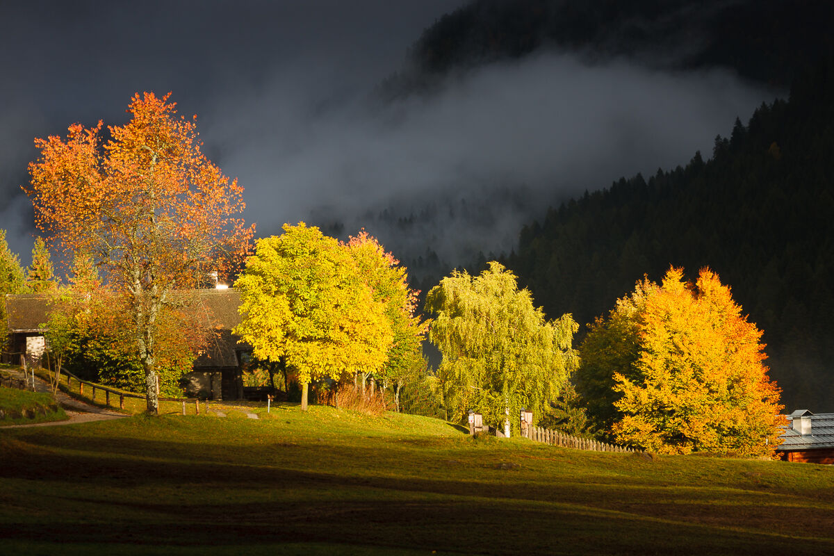 That one ray of sunshine...