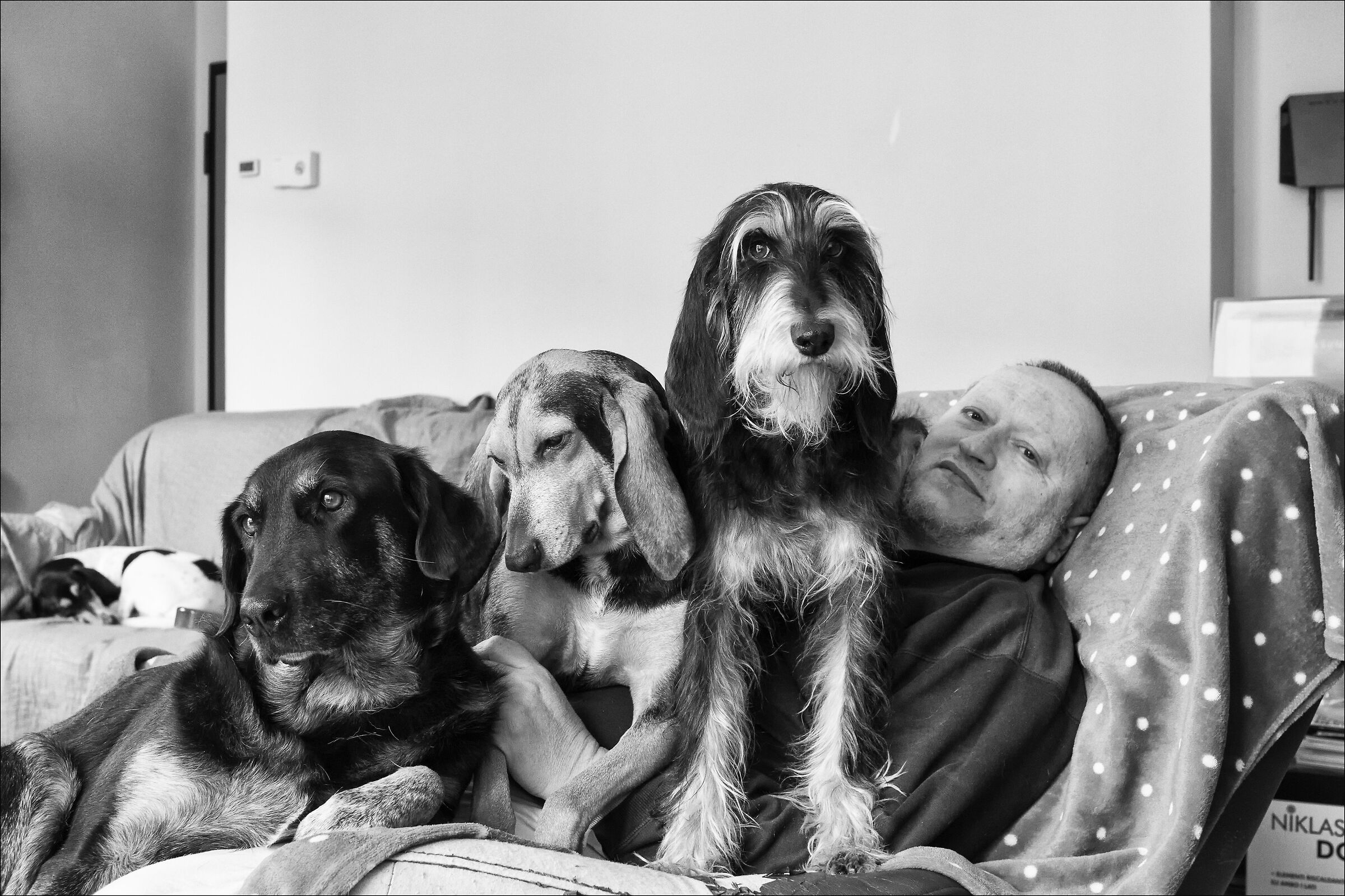 lovers... per noi loro sono importanti