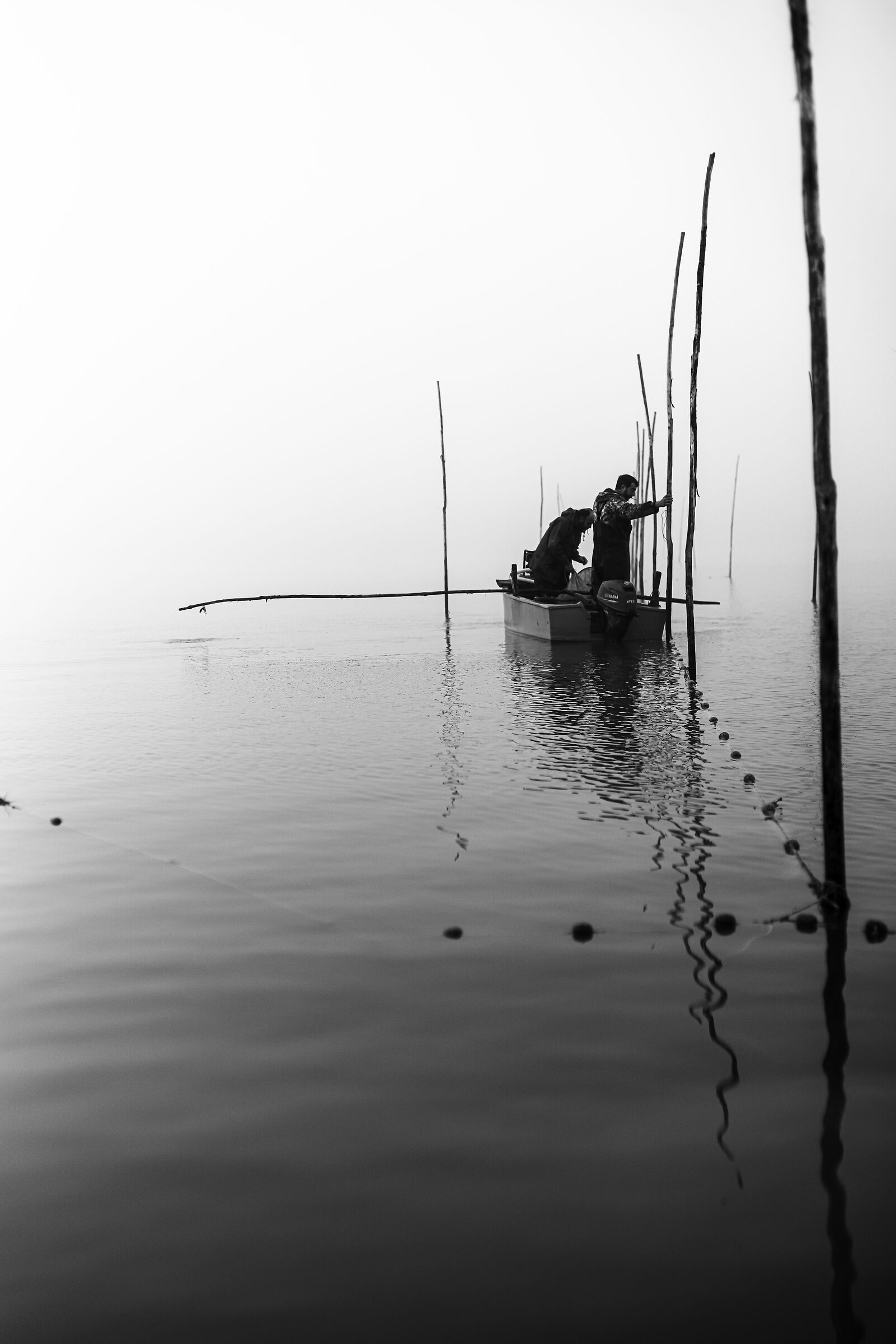 " Geometrie tra l'alba e la nebbia "