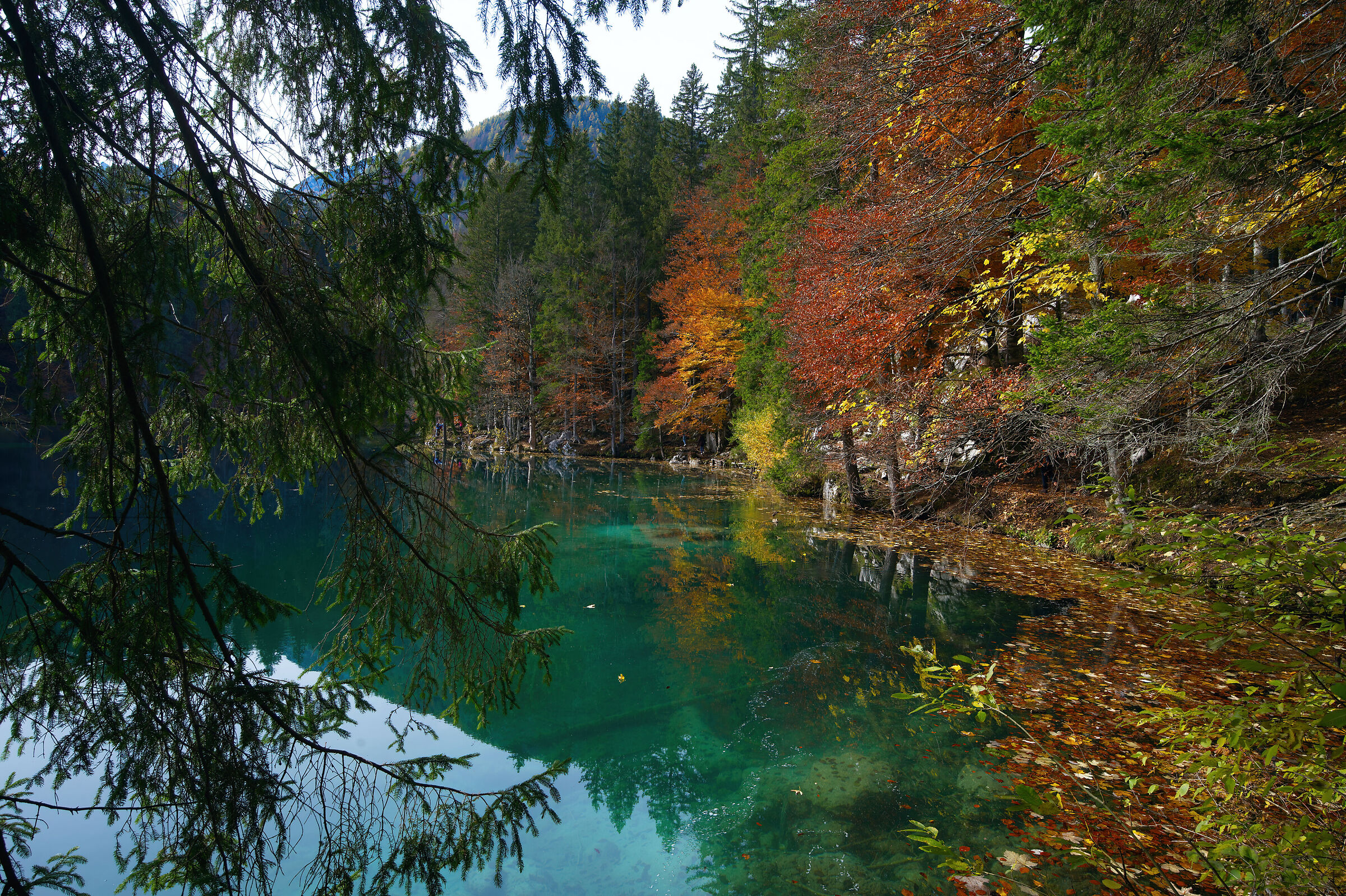 Laghi di Fusine