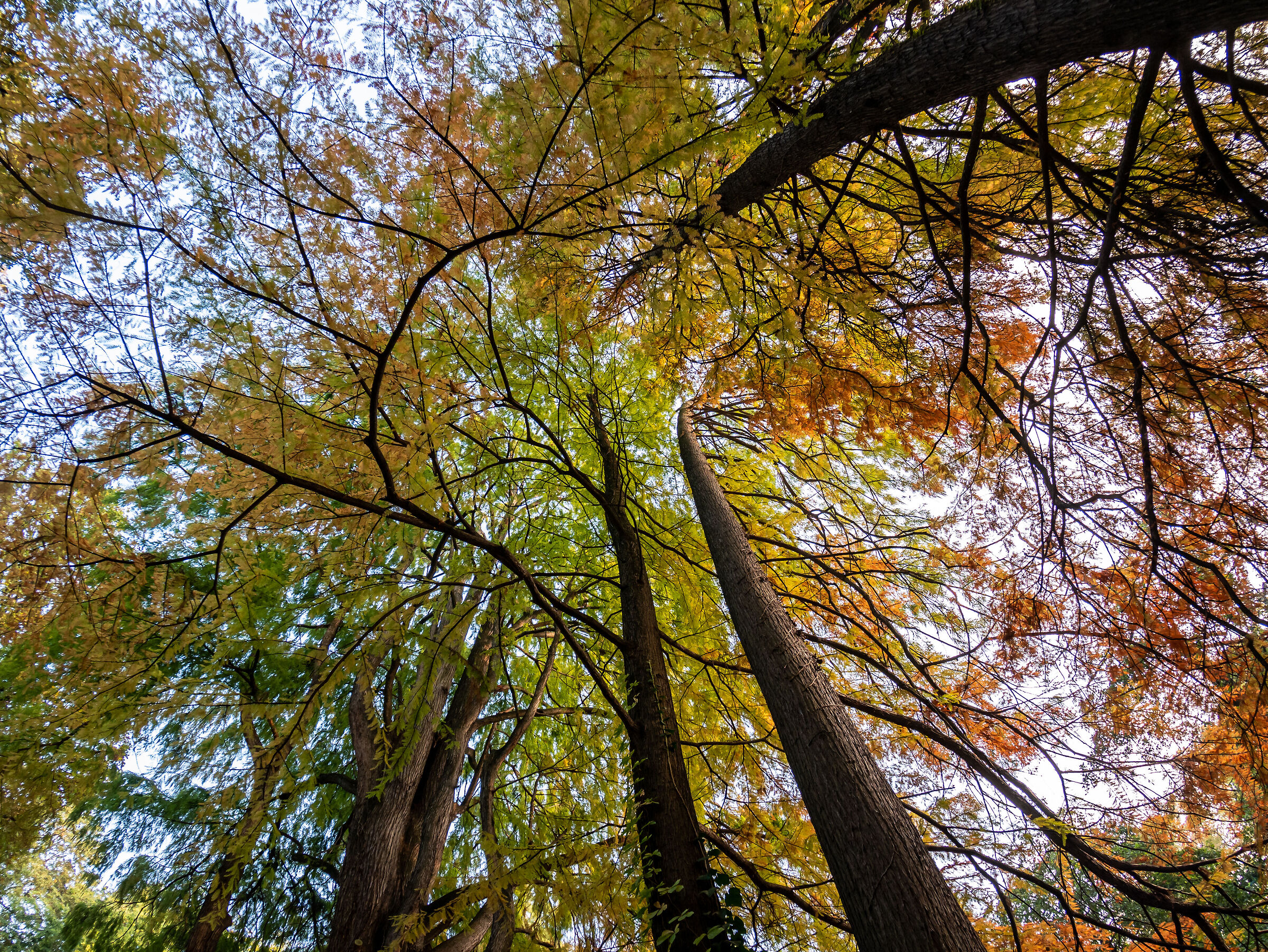 Giardini Indro Montanelli - Milan