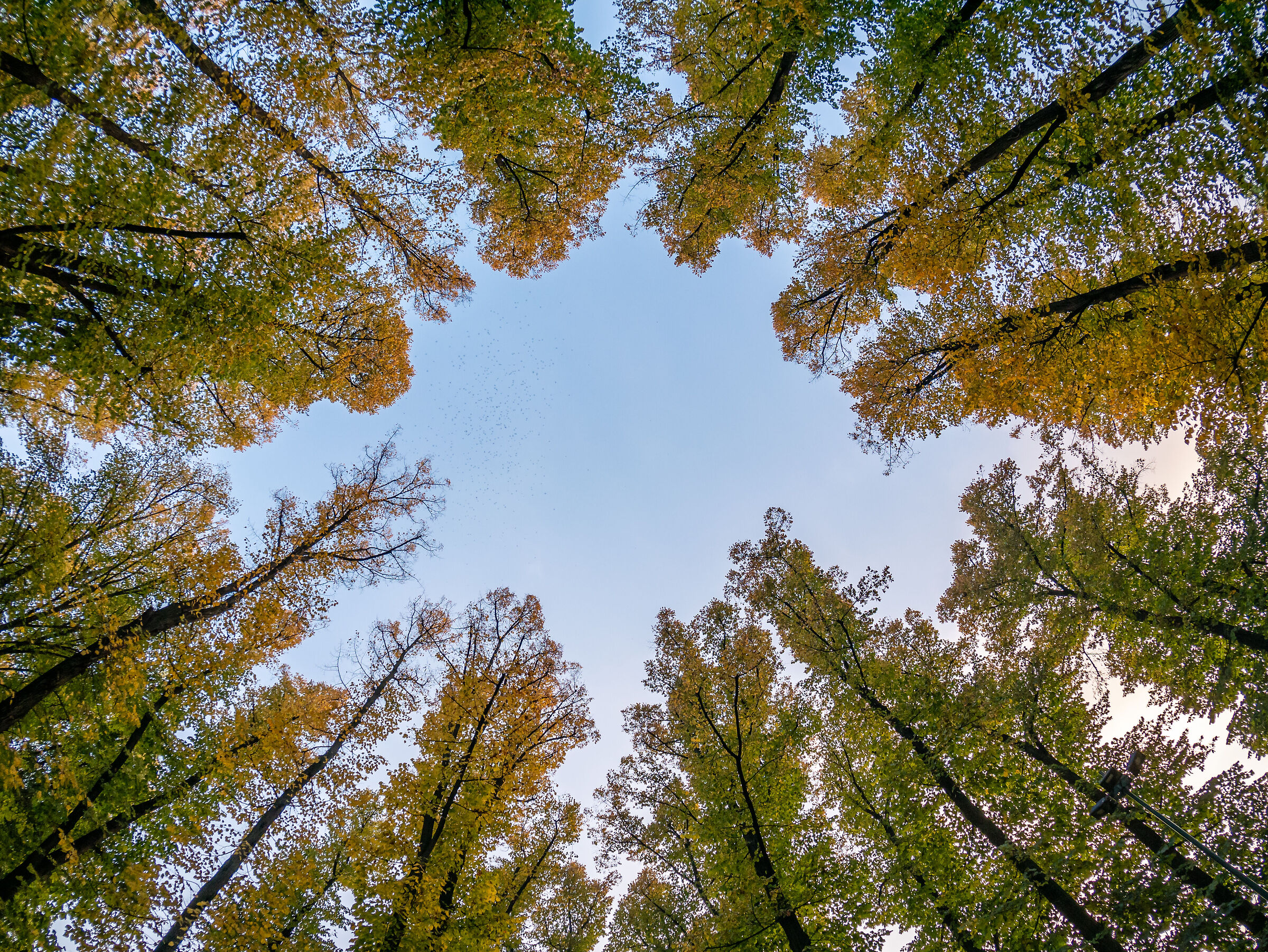 Giardini Indro Montanelli - Milan