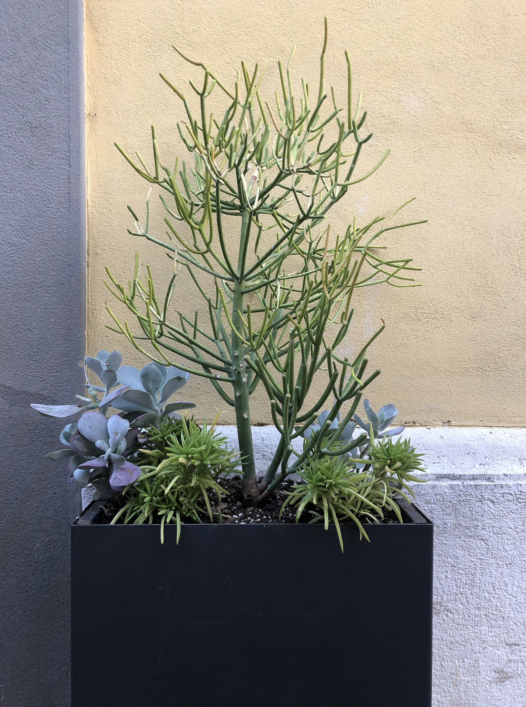 arredo urbano ben proporzionato