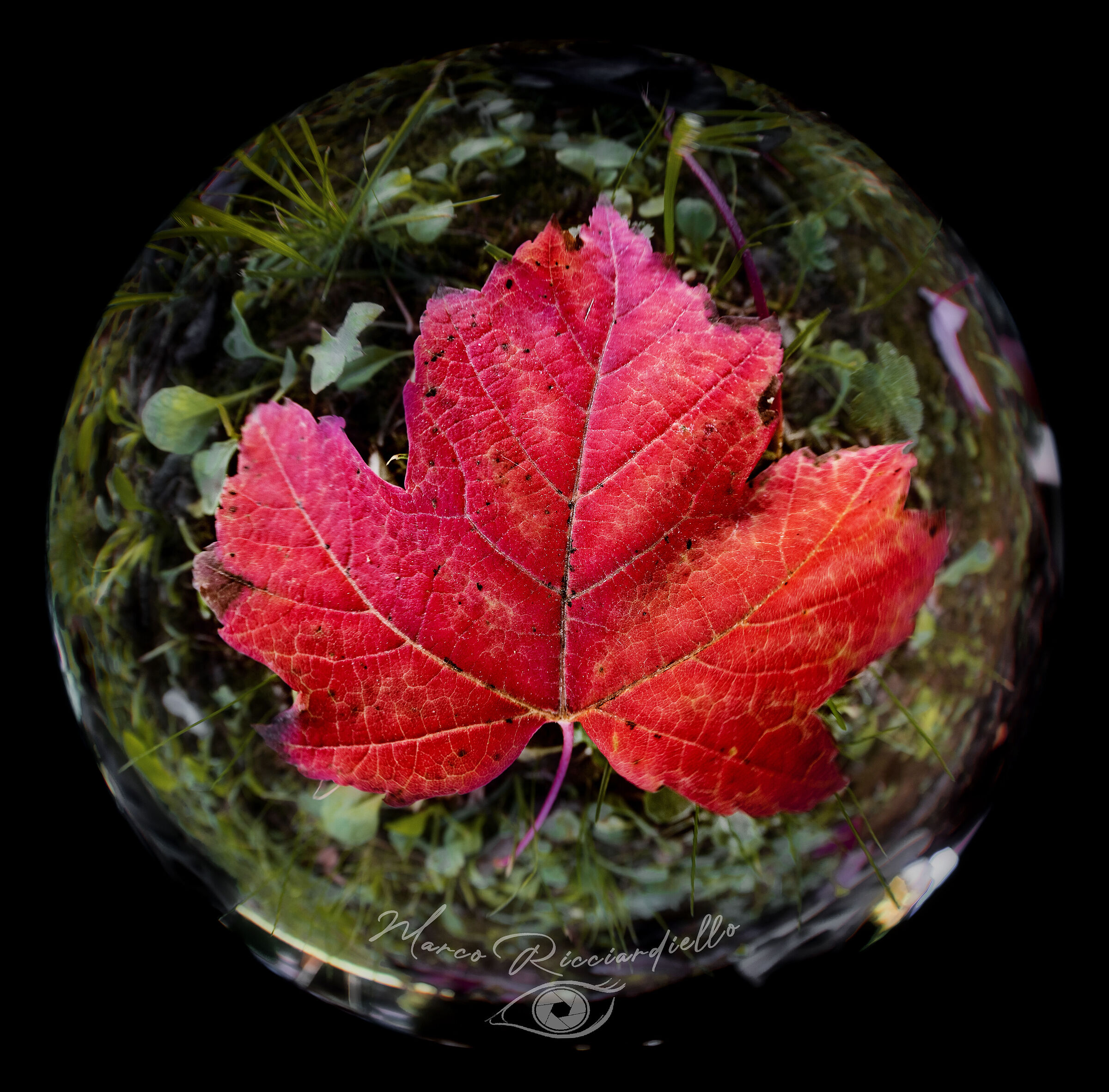 The Colors of Autumn