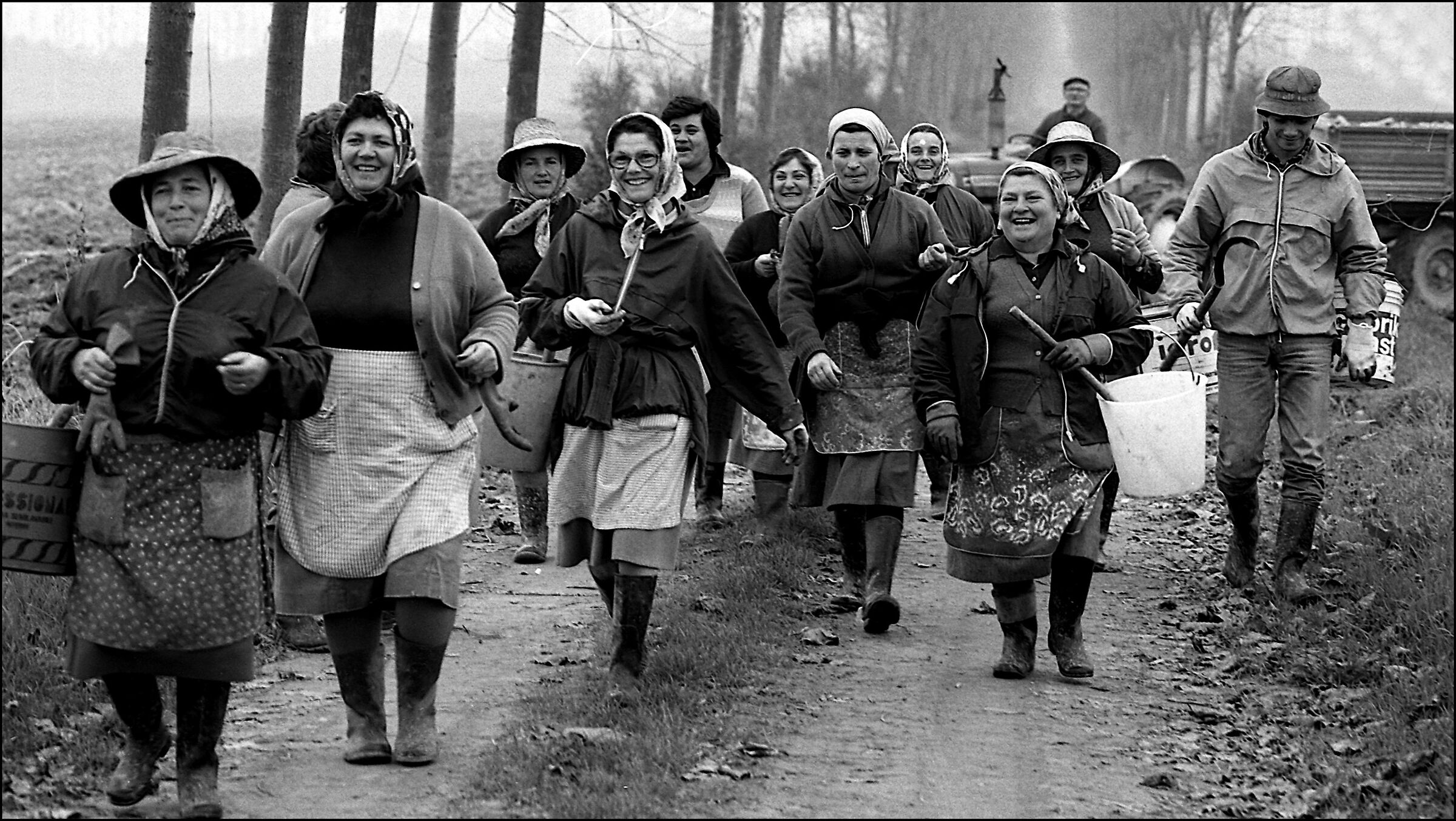 1984 - Polesine "laborers"