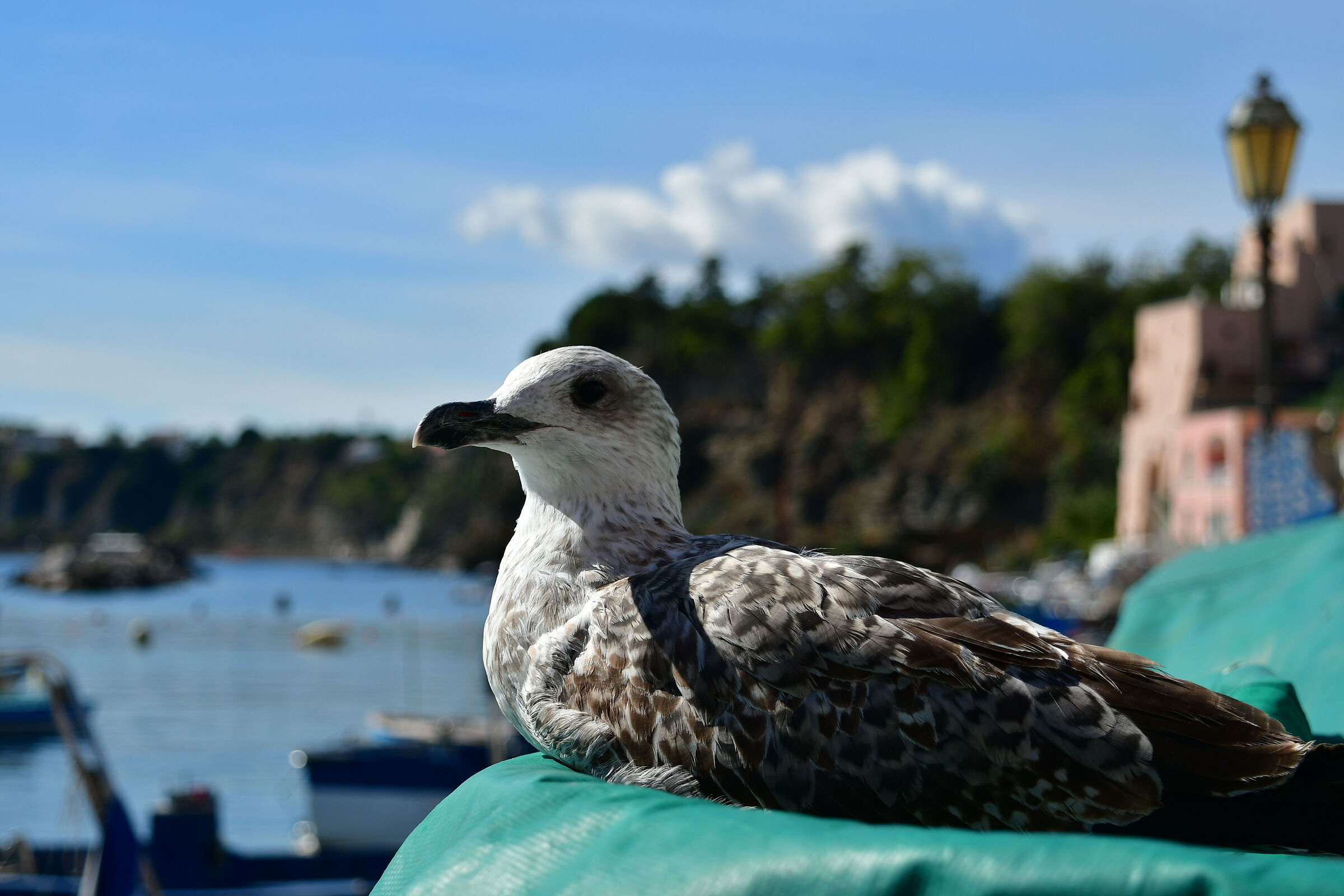 Che pace fuori stagione