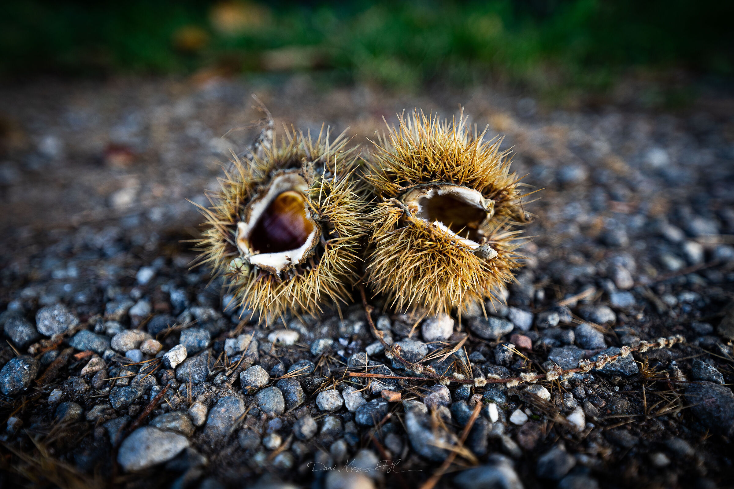 The beginning of autumn