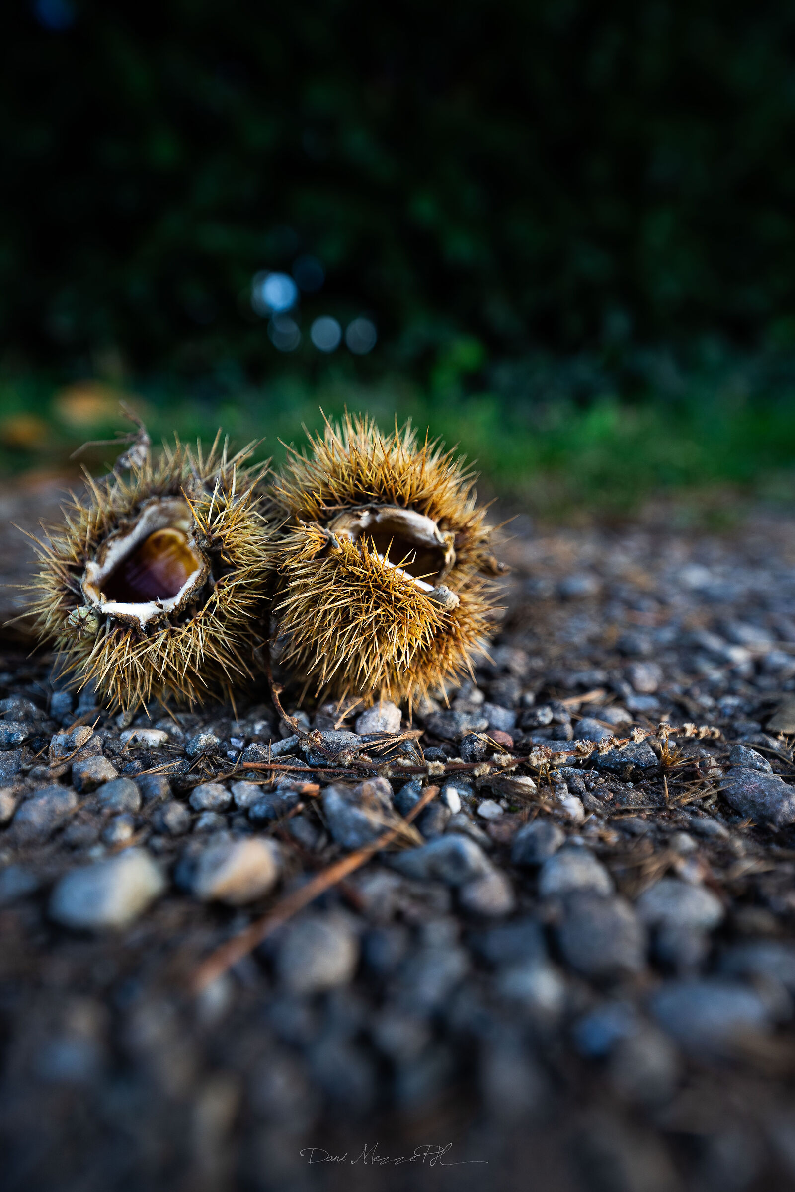 The beginning of autumn