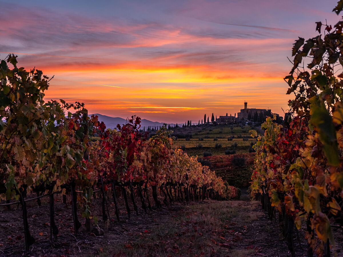 Autumn sunsets