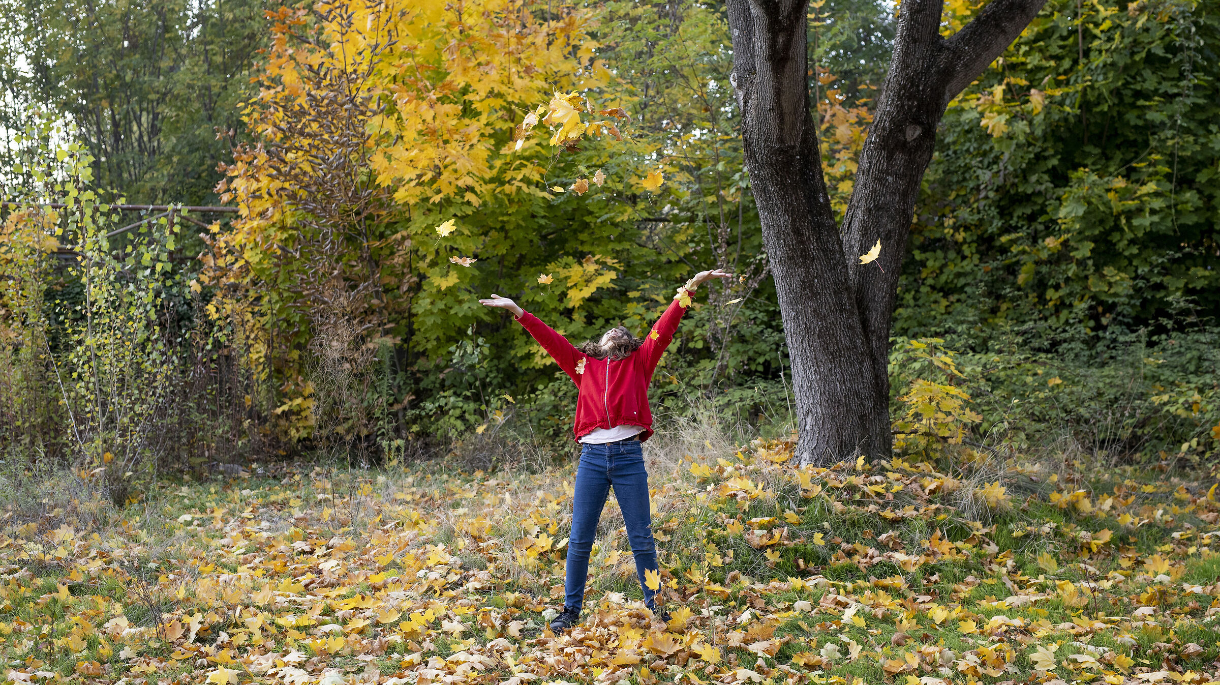Una pioggia d'autunno