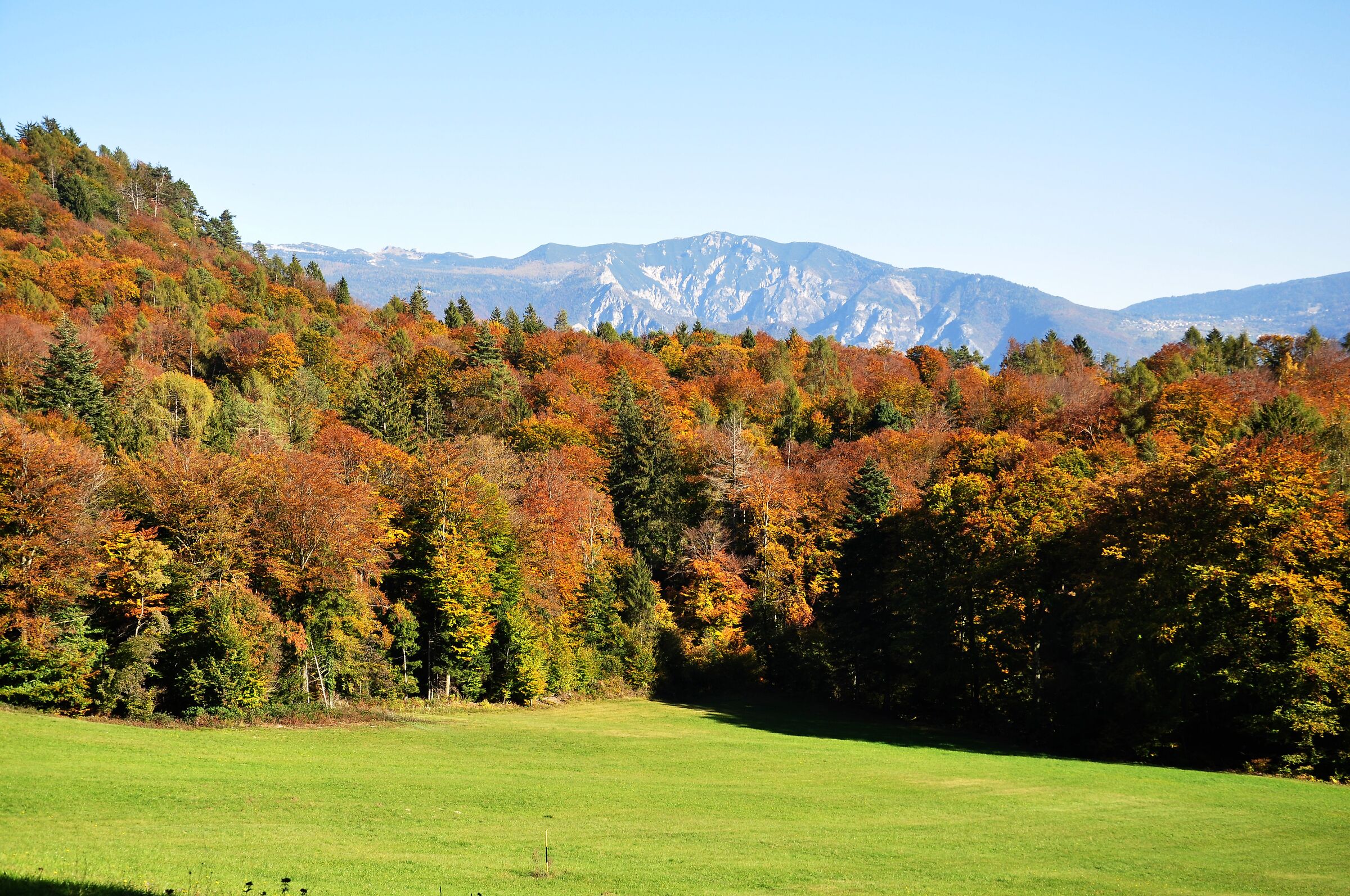 Un quadro di colori che solo la natura ci offre
