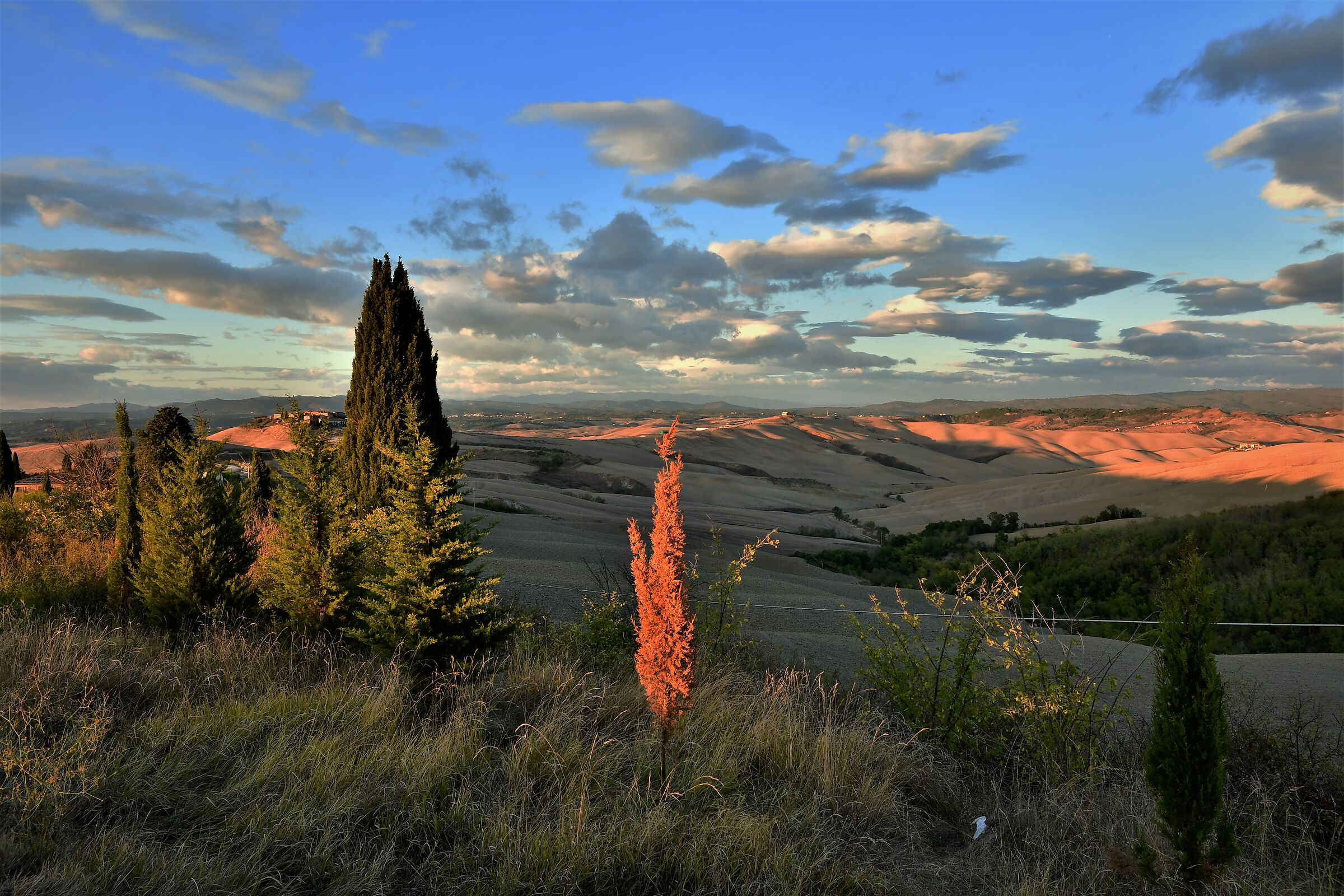fra crete e val d'orcia