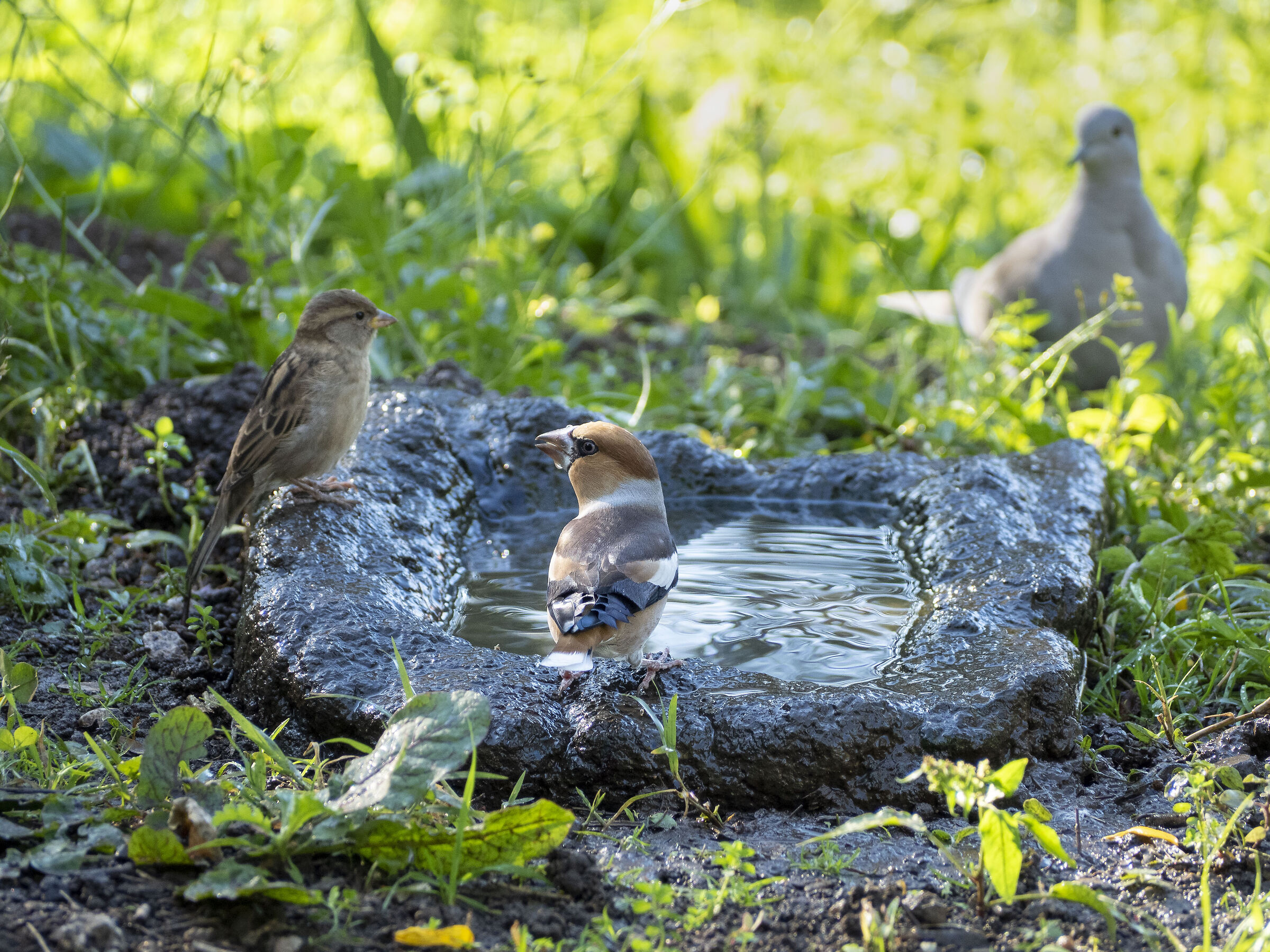 All at the bathroom...