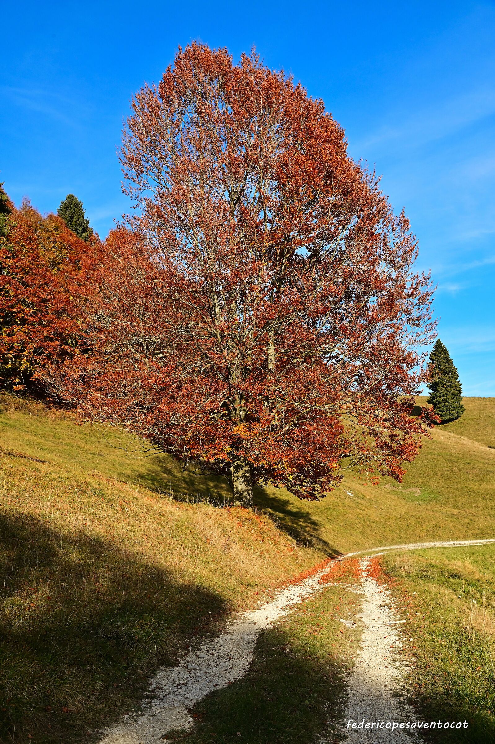 autunno