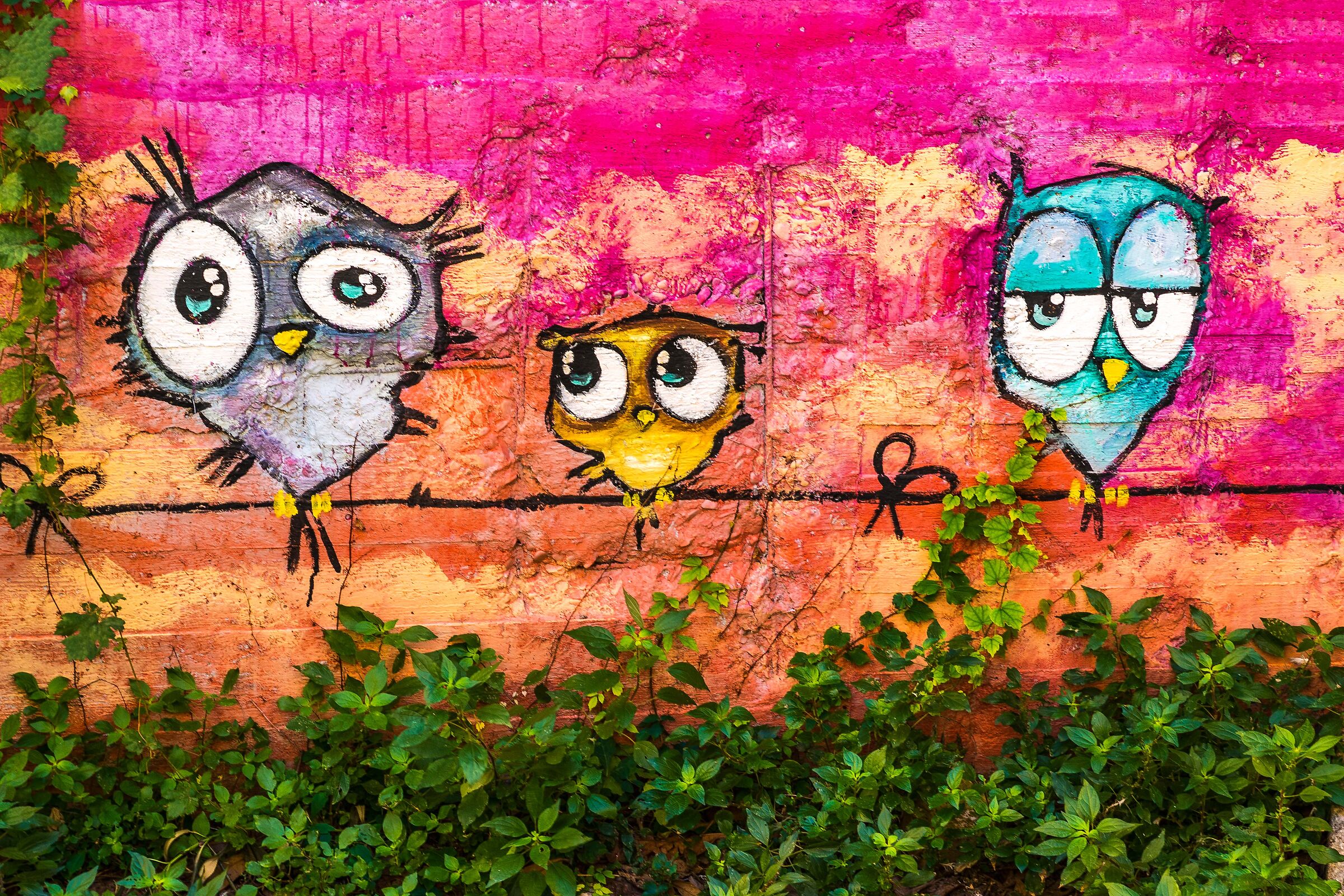 the owls .... weird