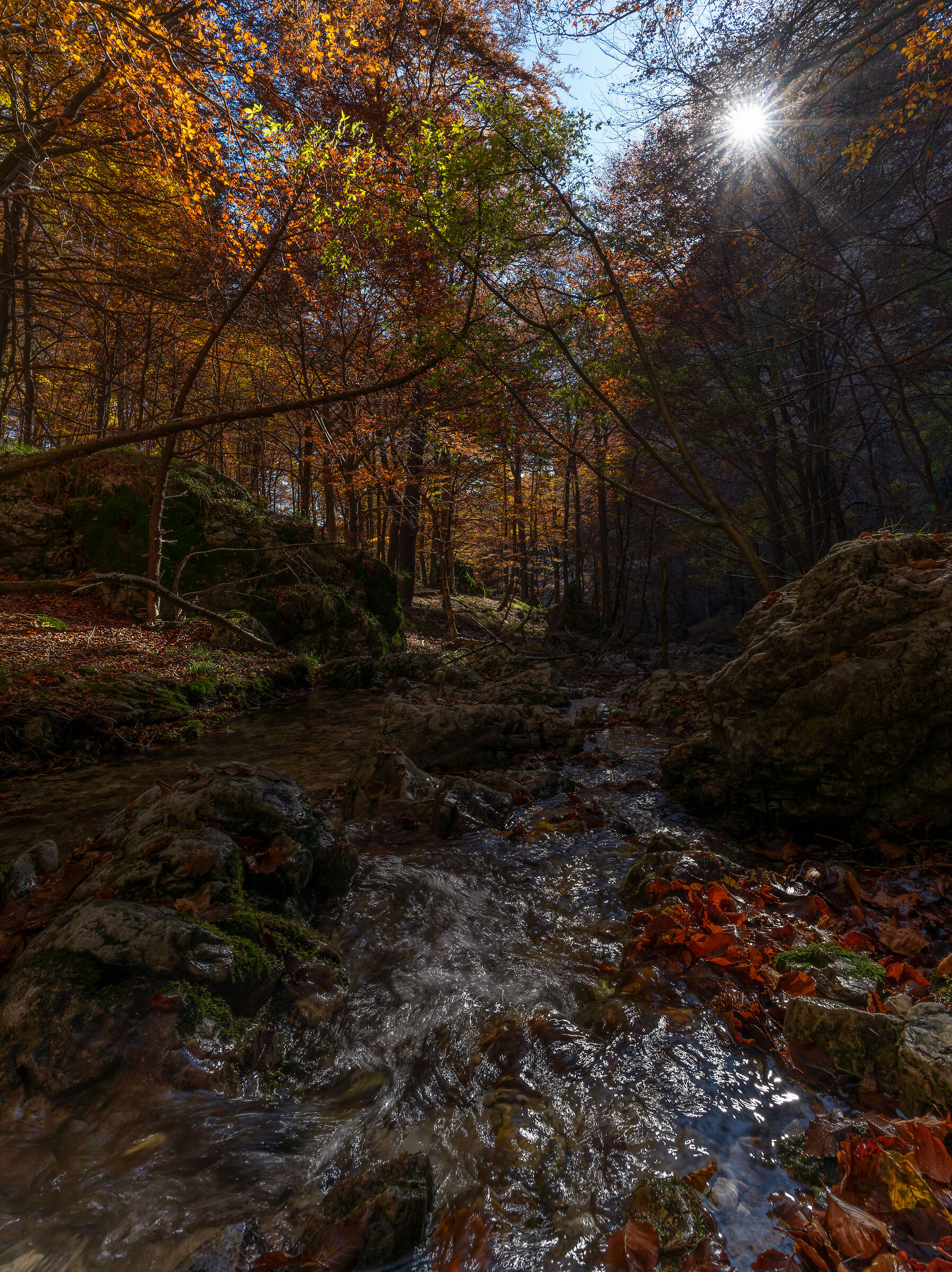 The river and autumn