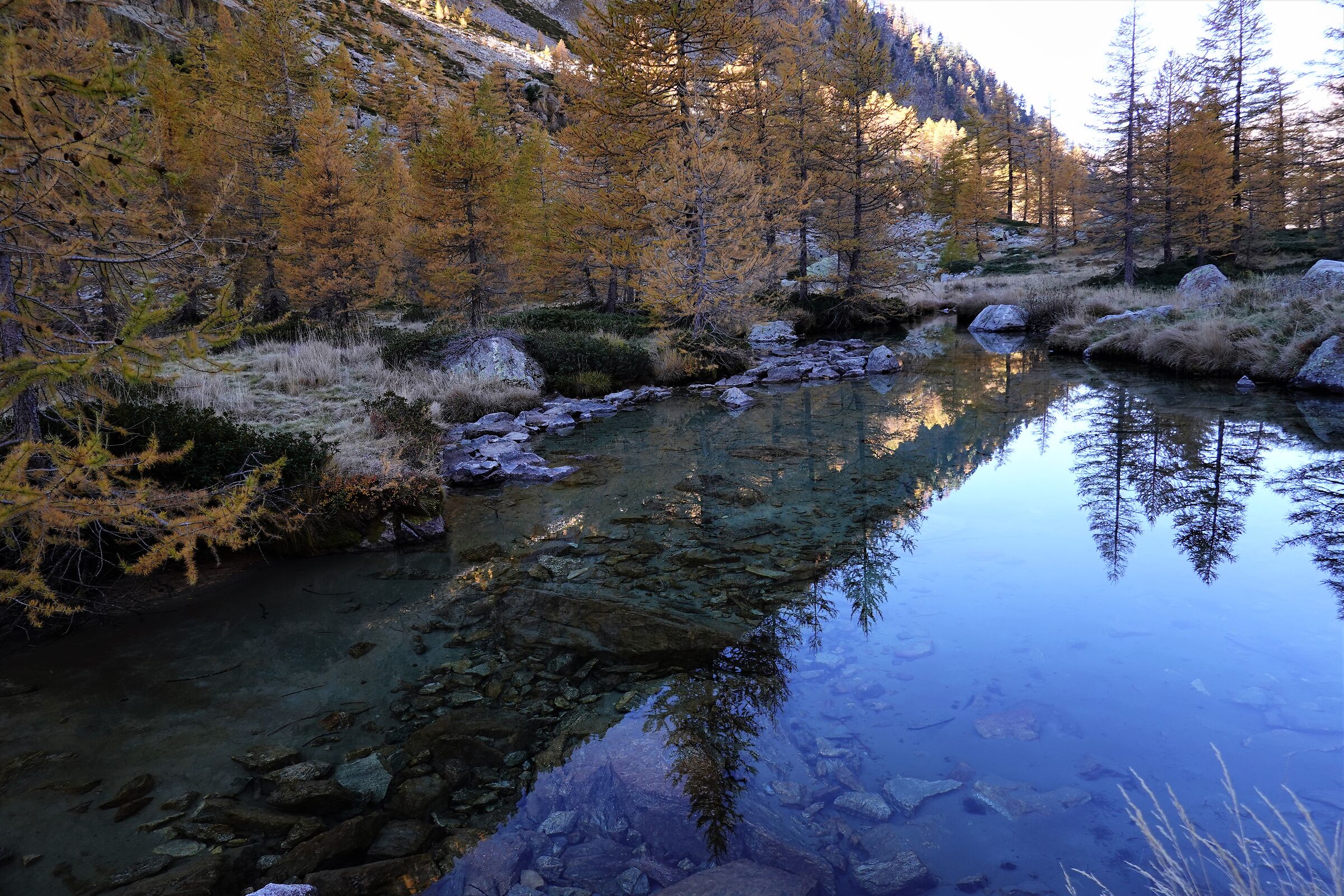 THE MAGIC OF AUTUMN AT 2000 METERS ABOVE SEA LEVEL...