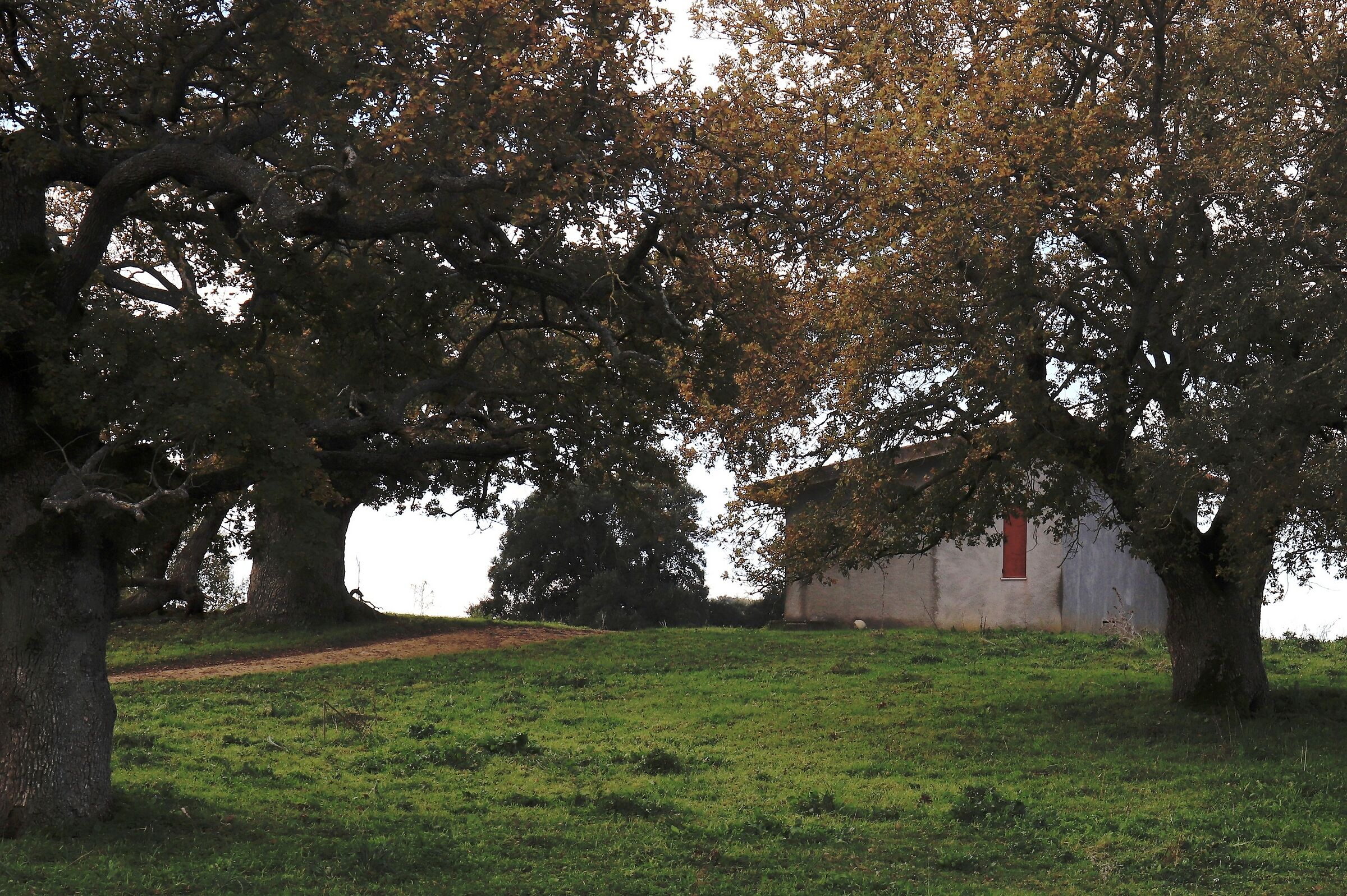 There is a small house like this.....