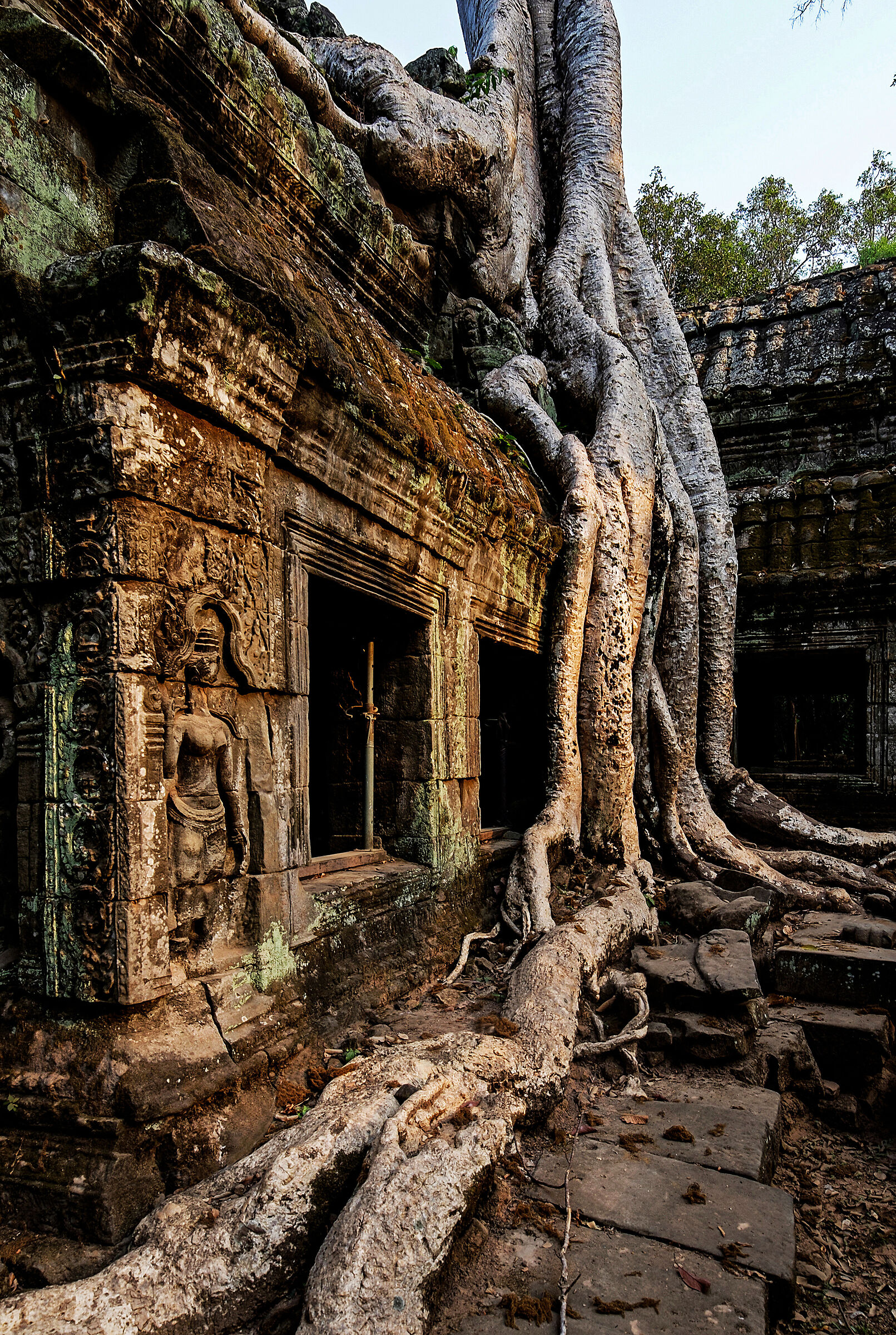 Angkor Ta Prohm
