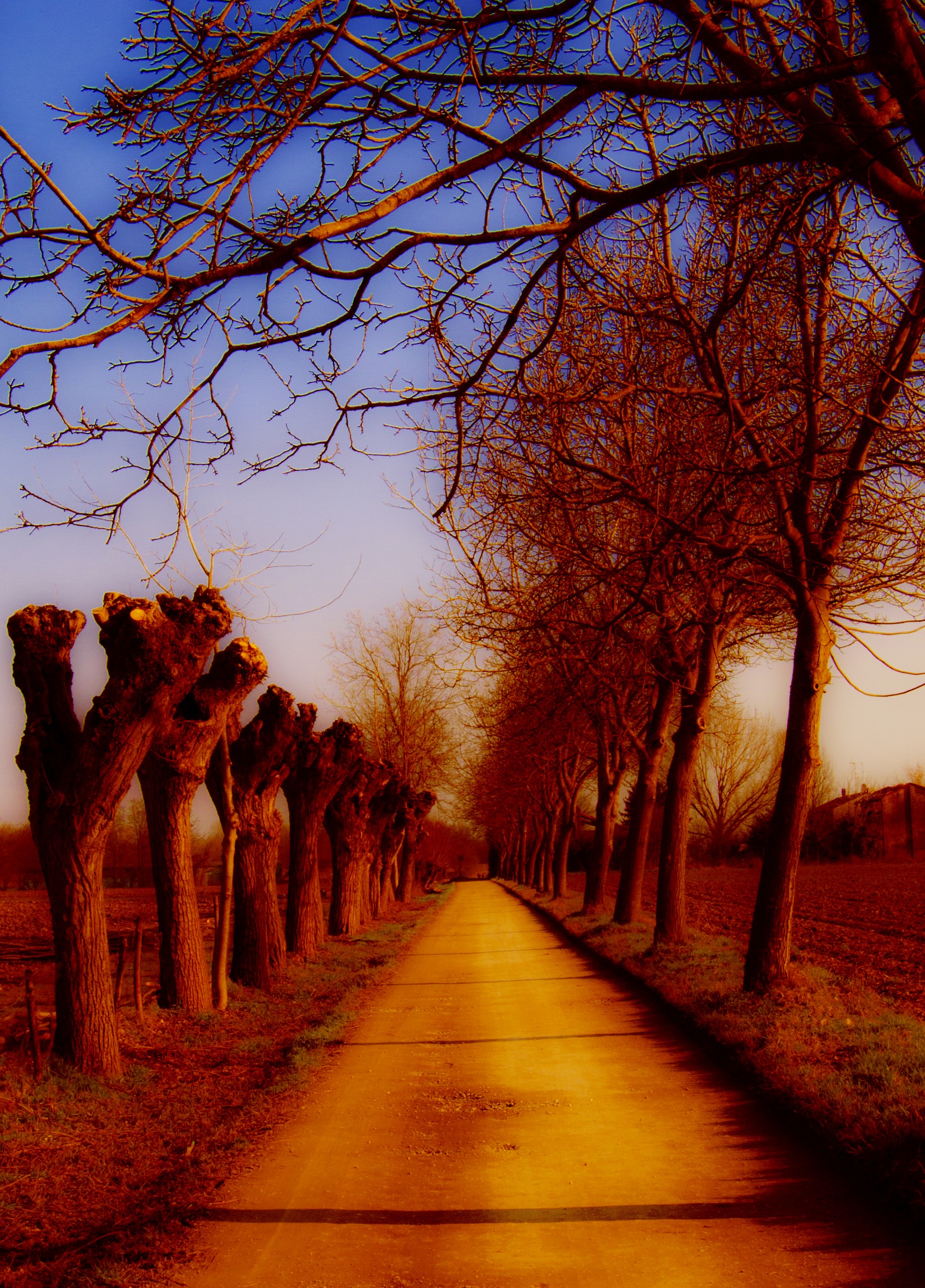 Il viale verso l'inferno