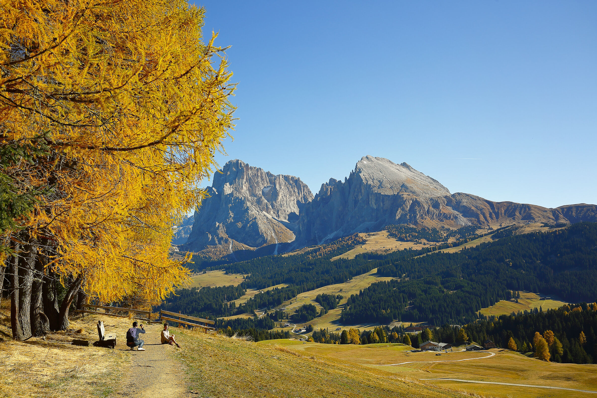 Autunno all'Alpe
