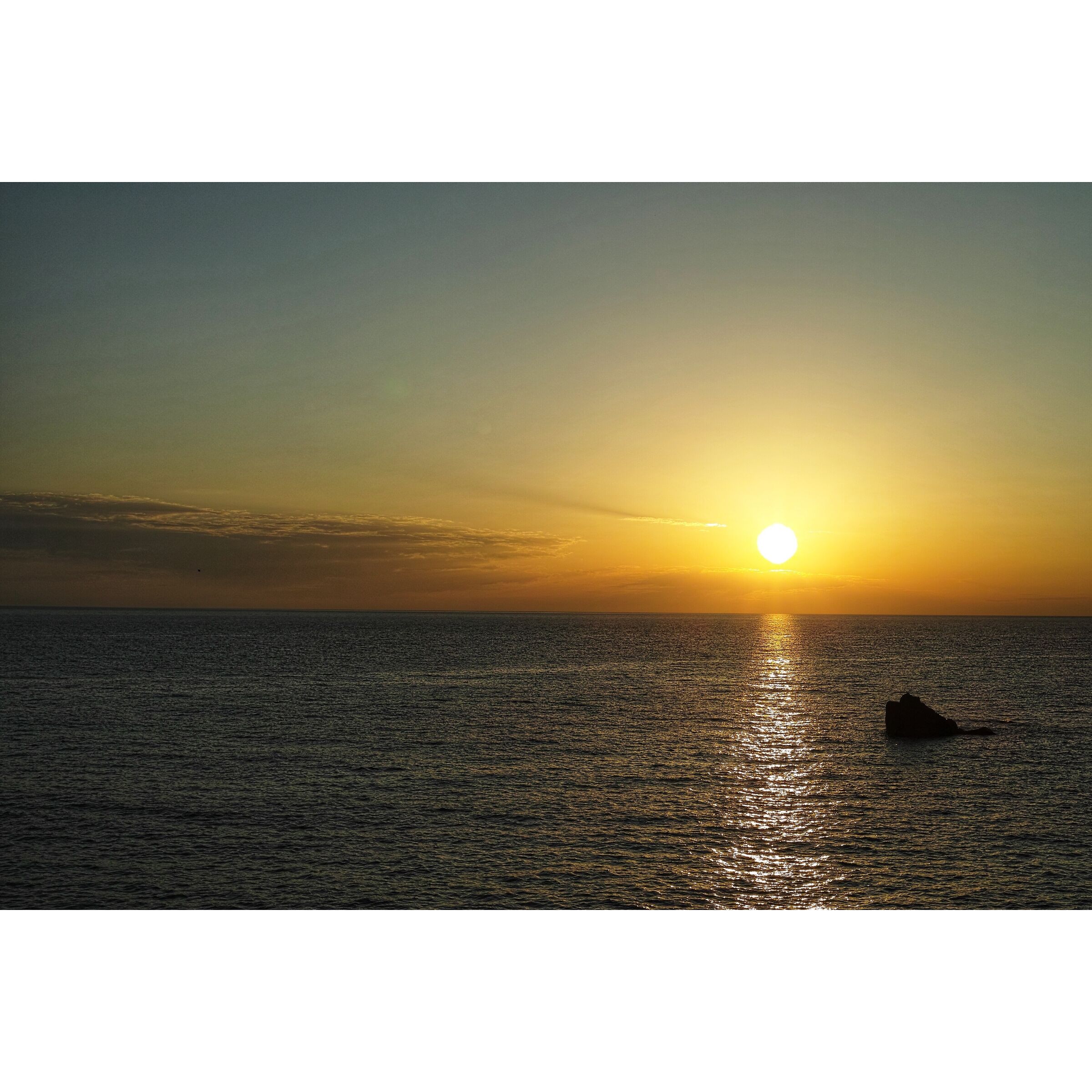 Untitled Photo