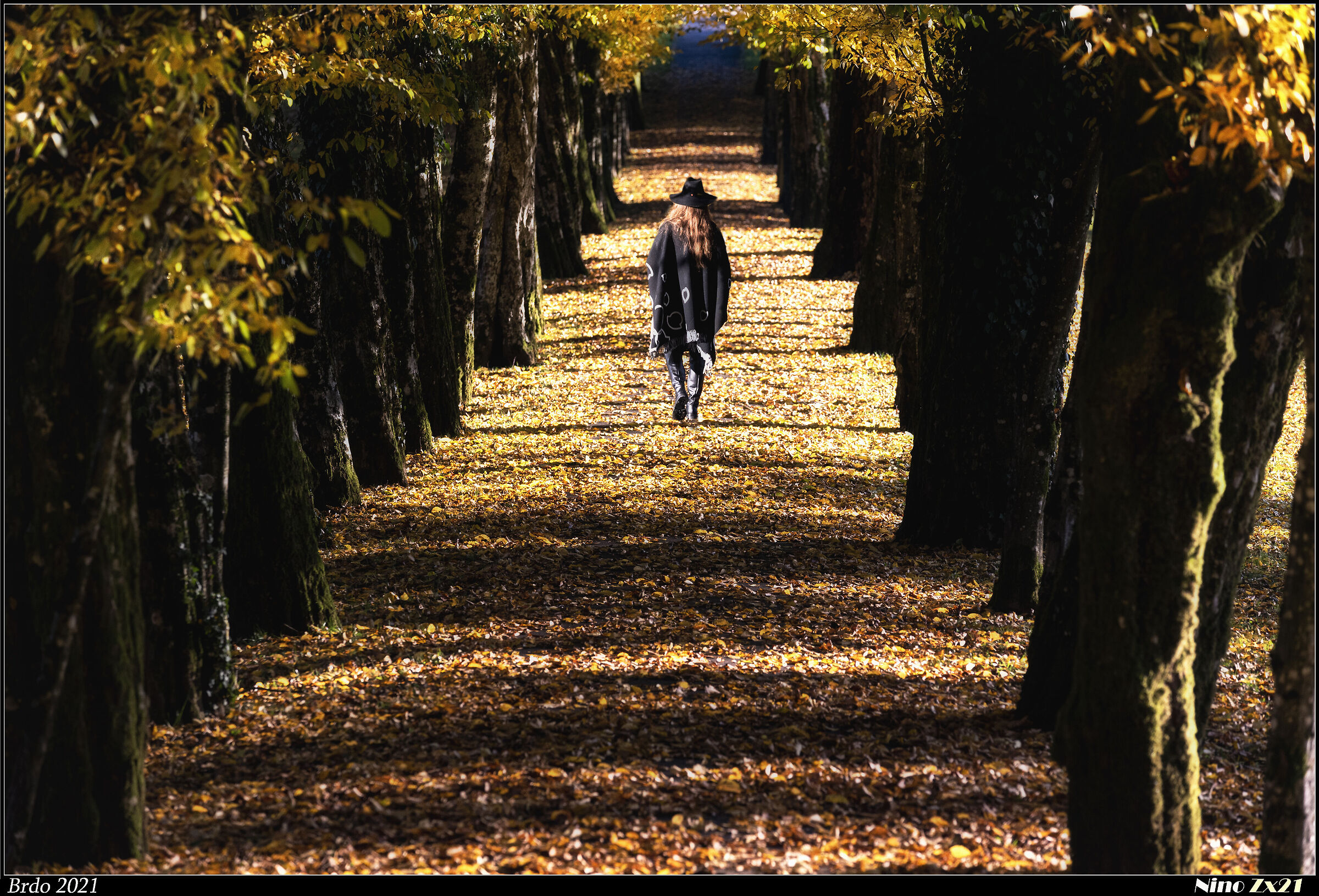 Nel mezzo del cammin....