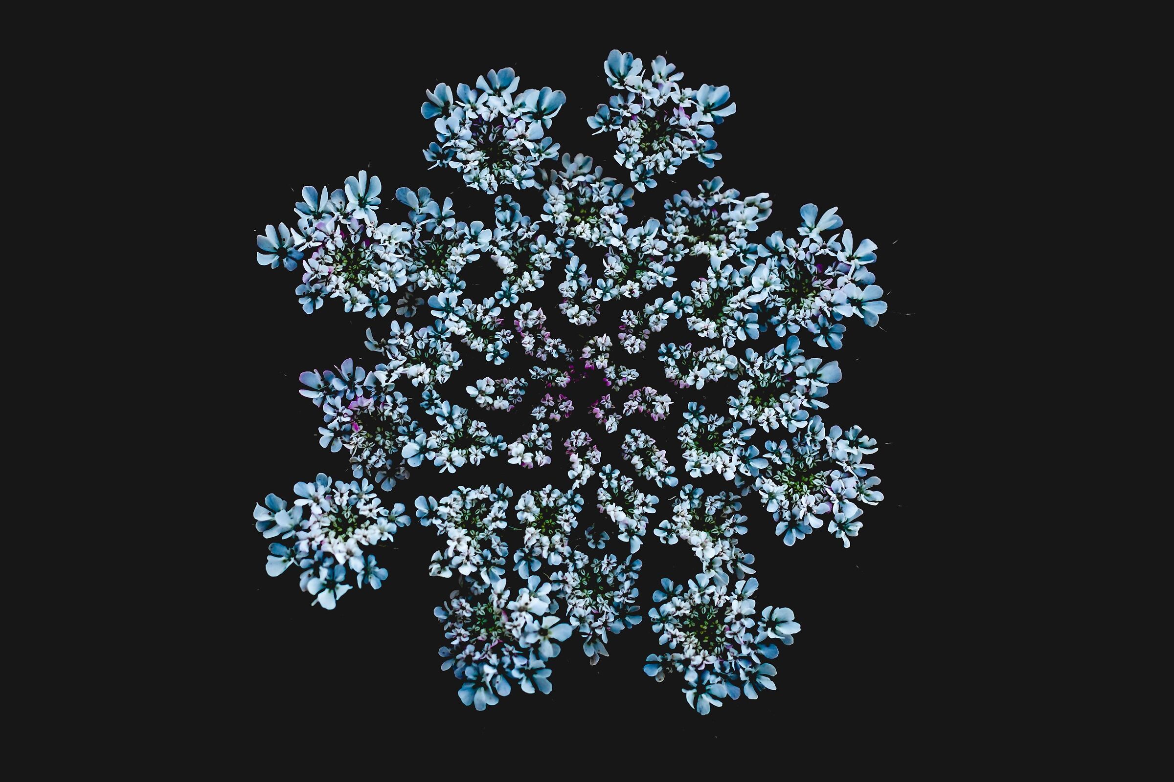 The slow awakening of the soul