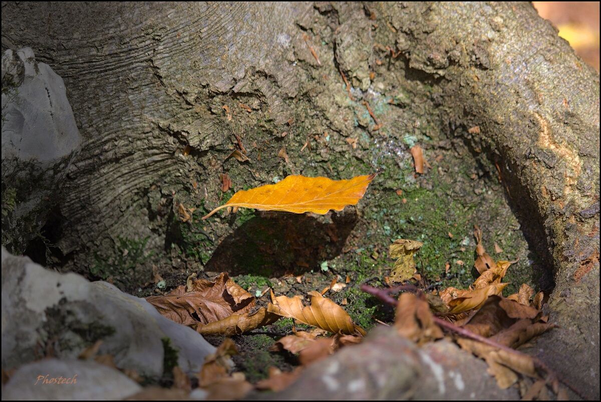 Levitazione naturale?