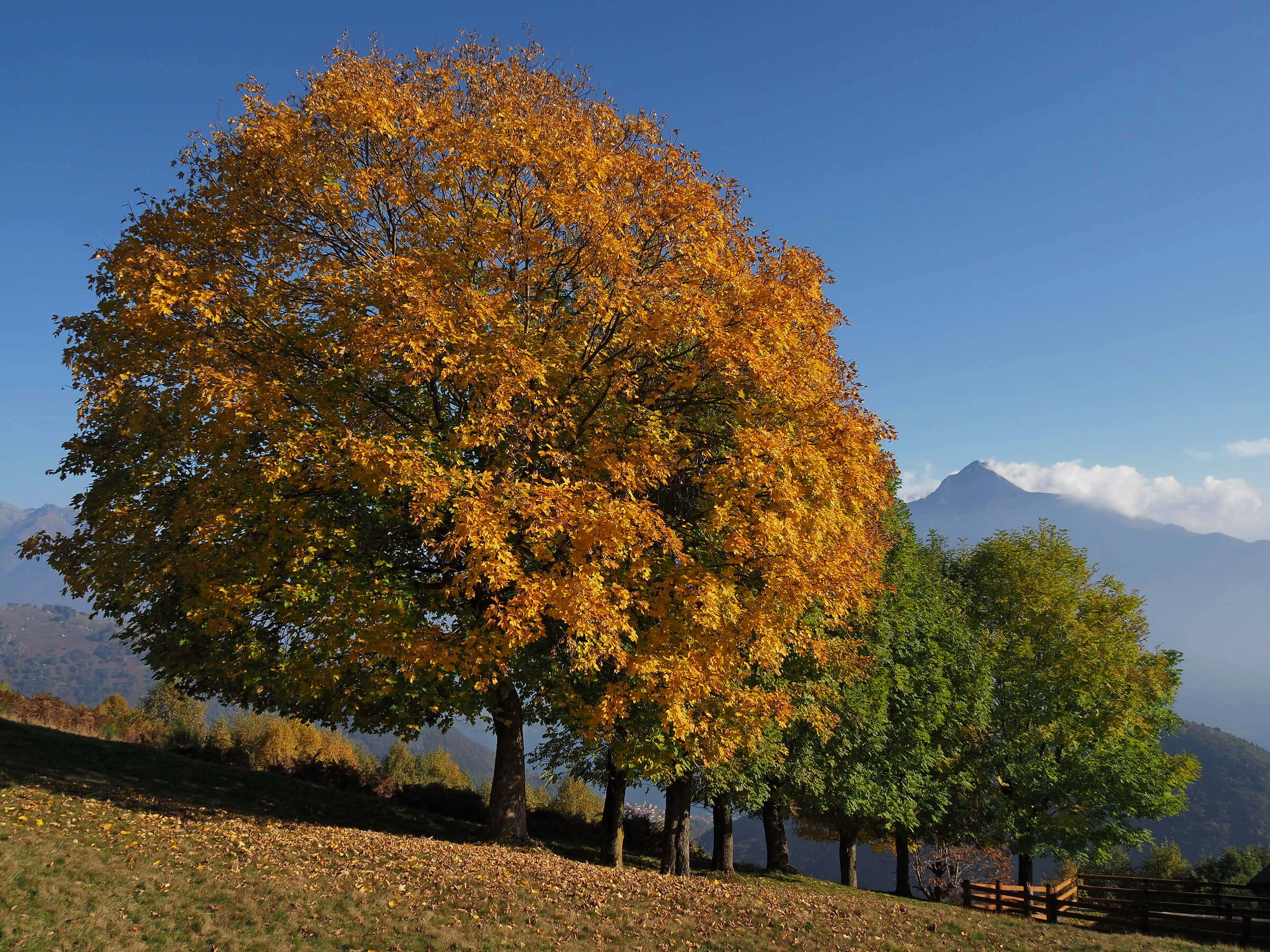 Pieno autunno con M Legnone