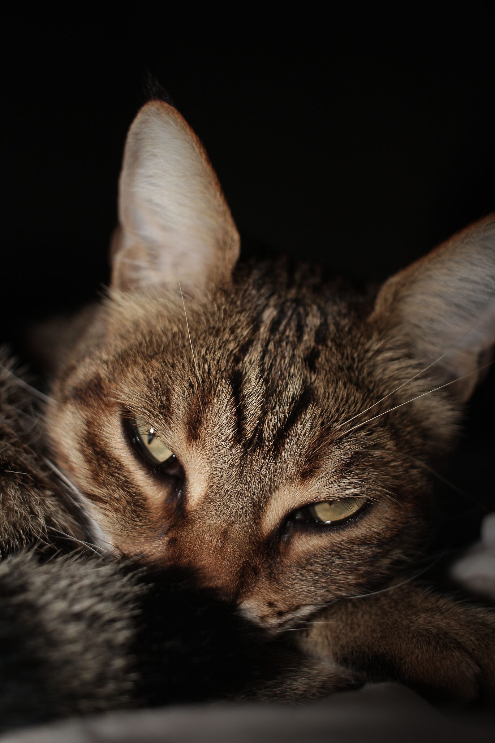 Little girl eyes