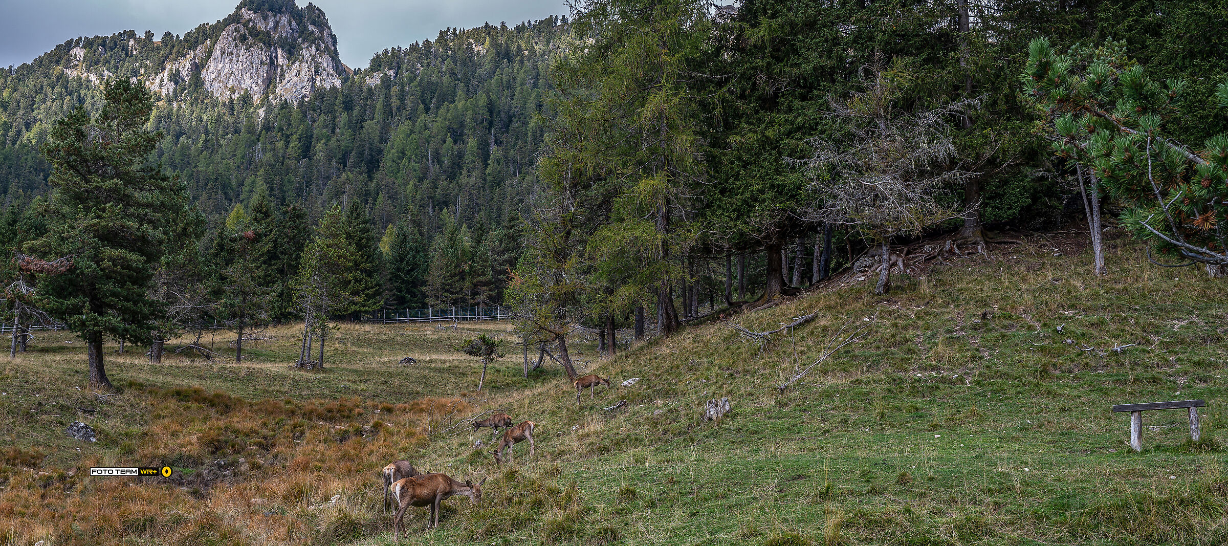 "Zanser Alm" - Val di Funes - Alto Adige