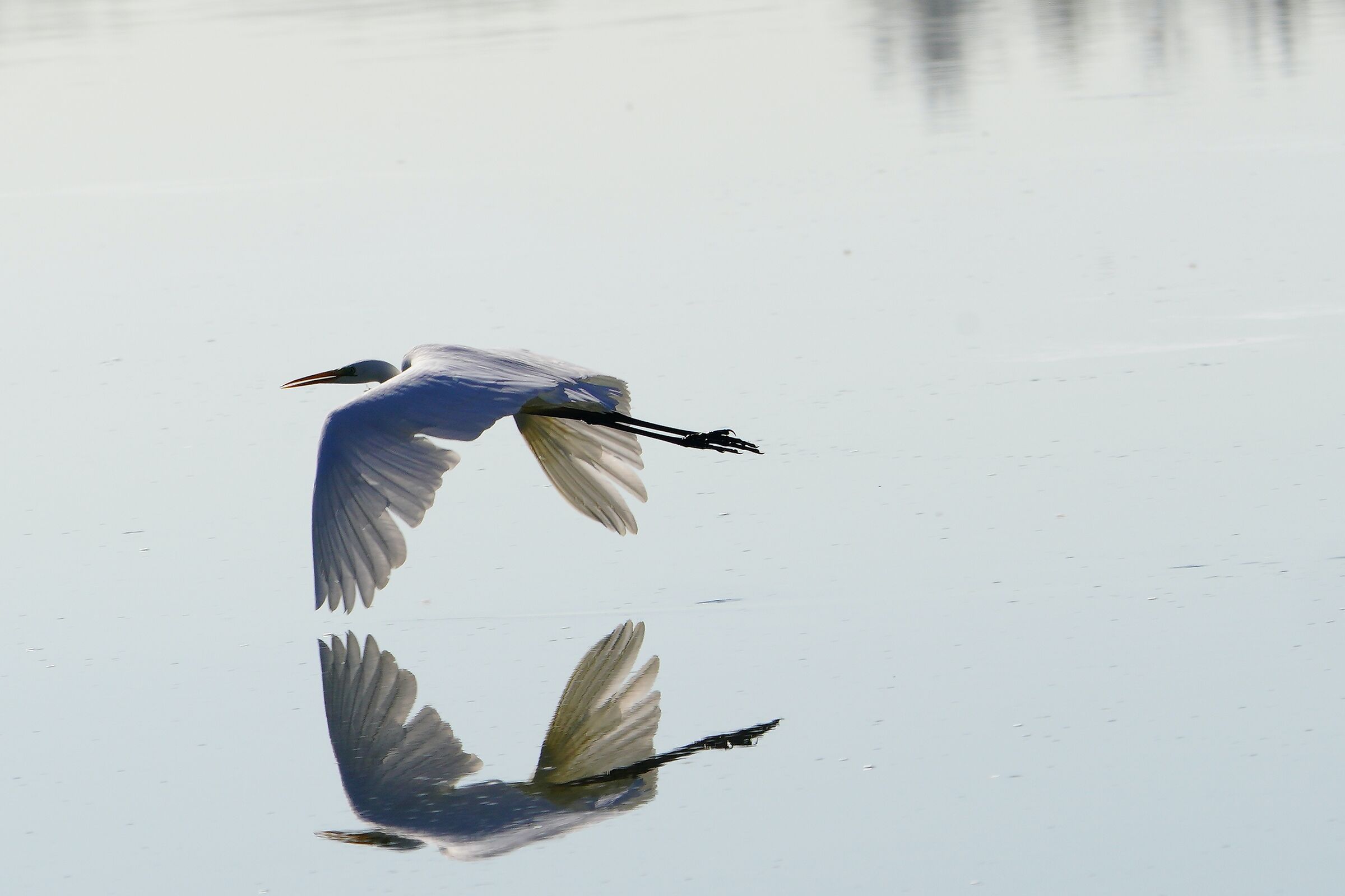 Flying over the lake