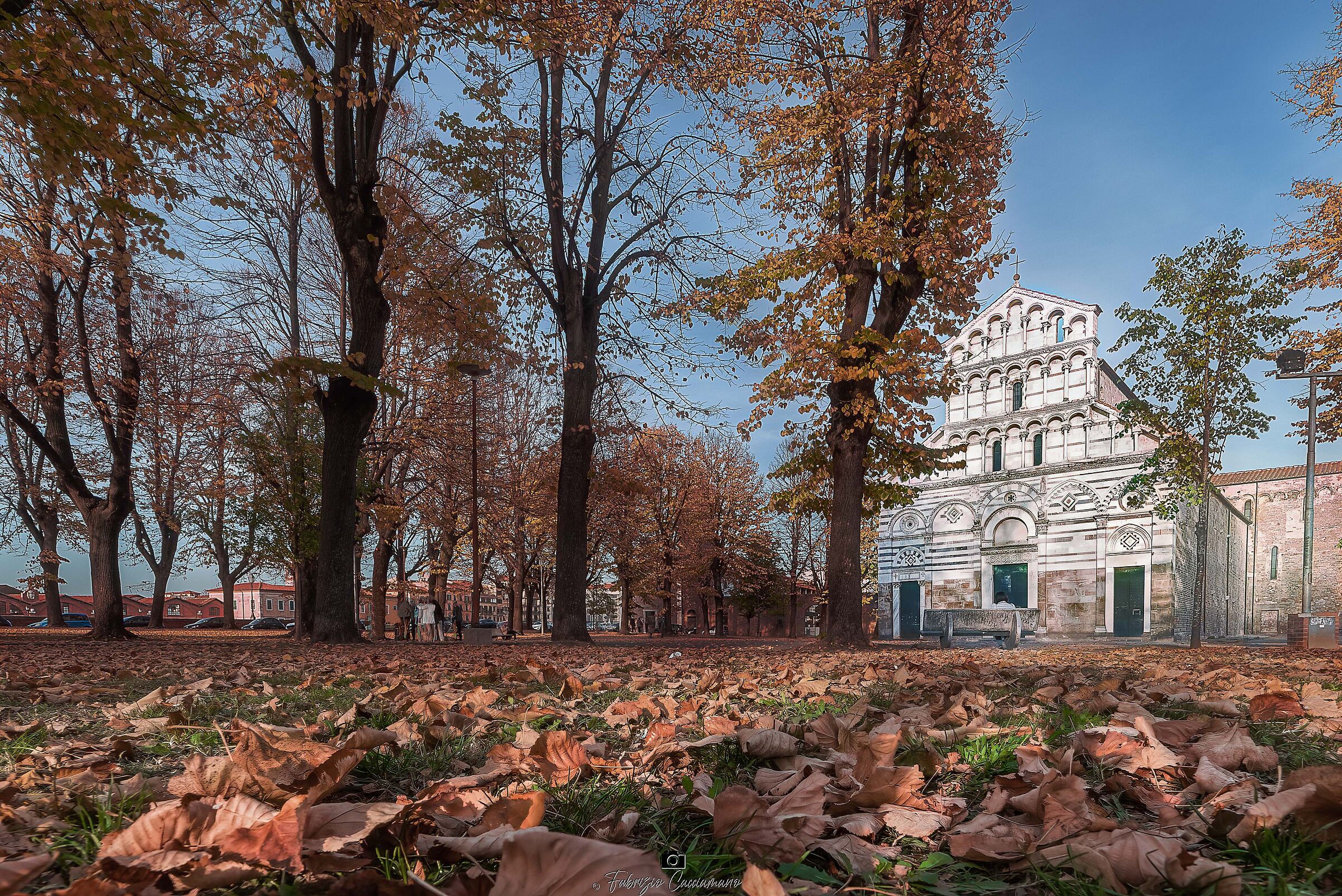 Autunno in piazza San Paolo a Ripa d'Arno