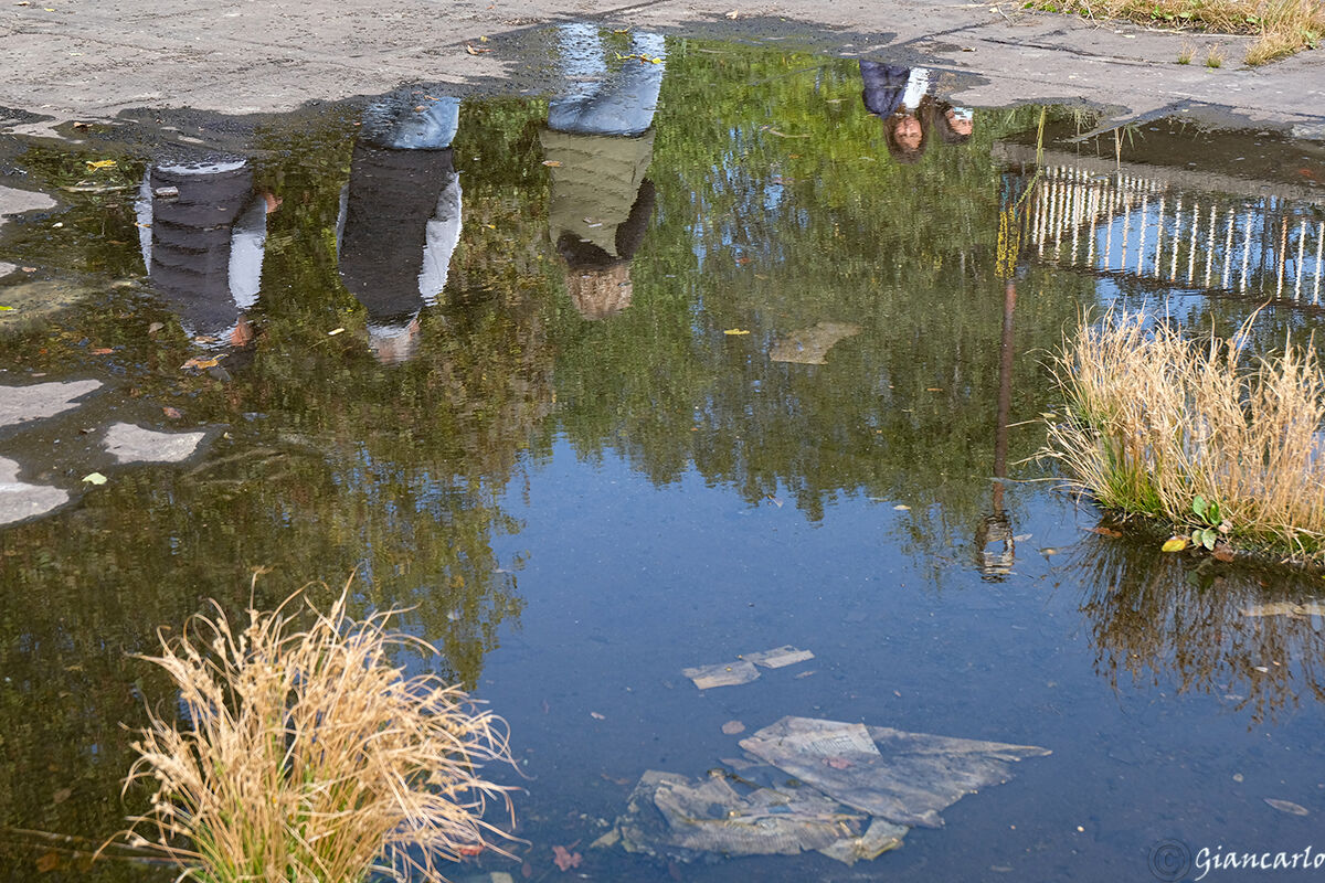 un fantastico via vai