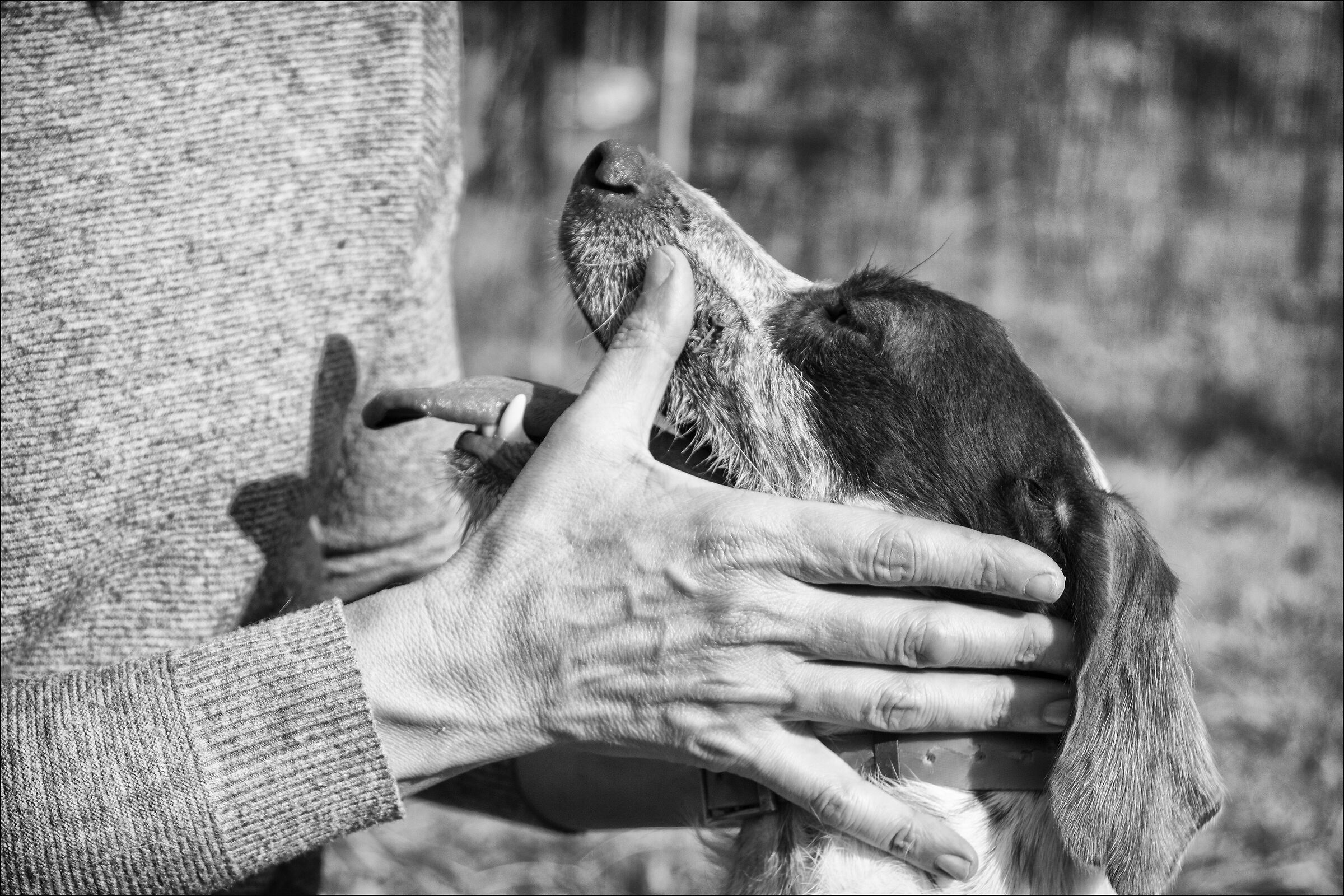 lovers... per noi loro sono importanti