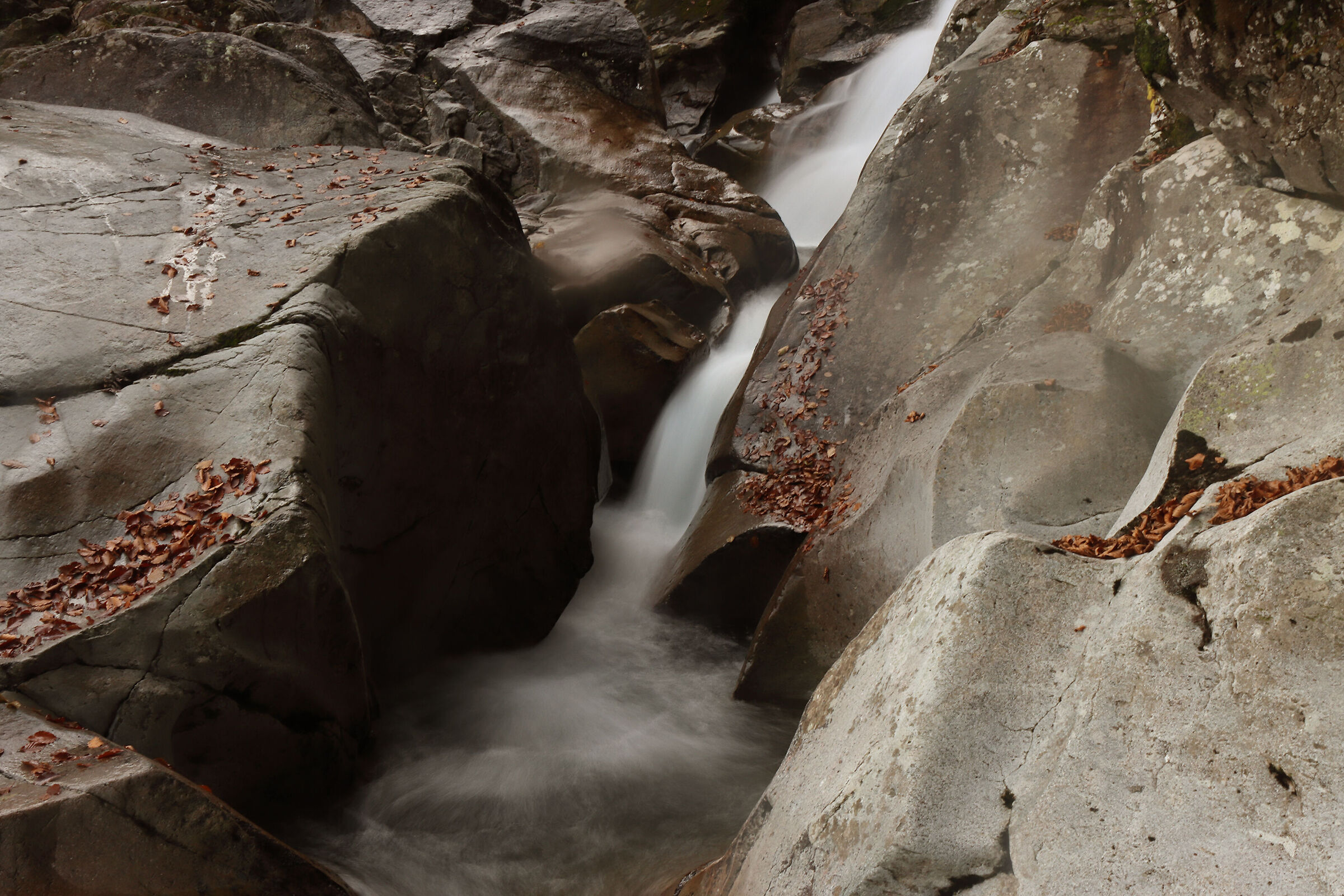 V A L S A N G U I G N O  - autunno