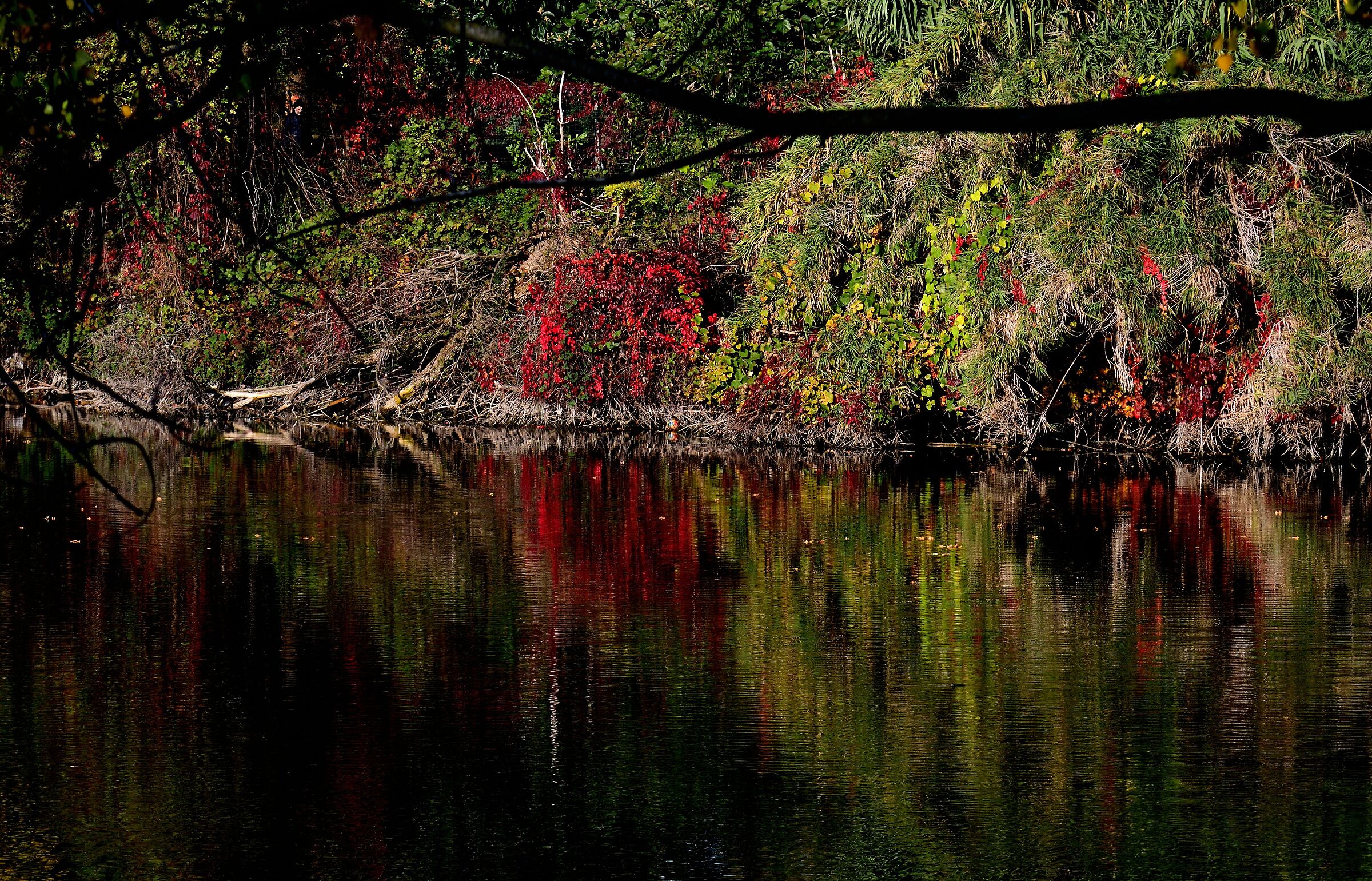 Autunno, la natura è un pittore