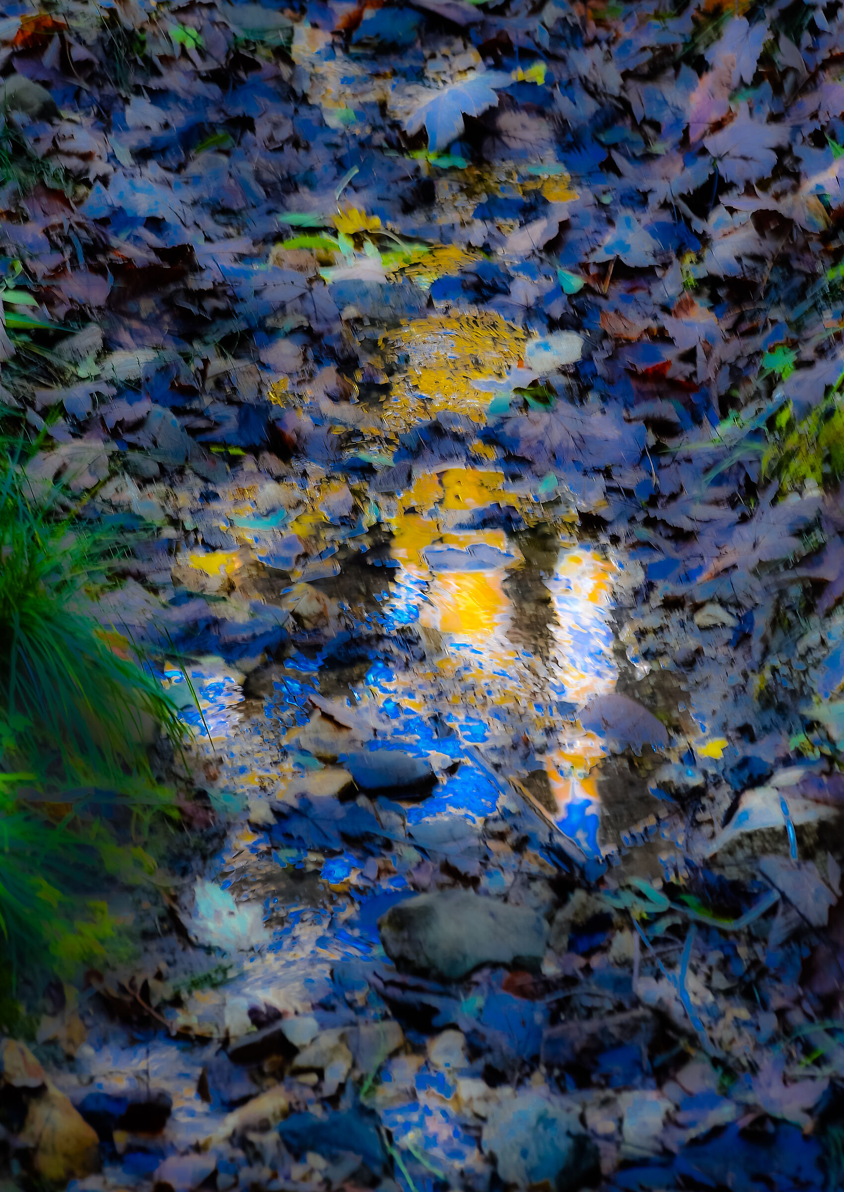 painting in the woods