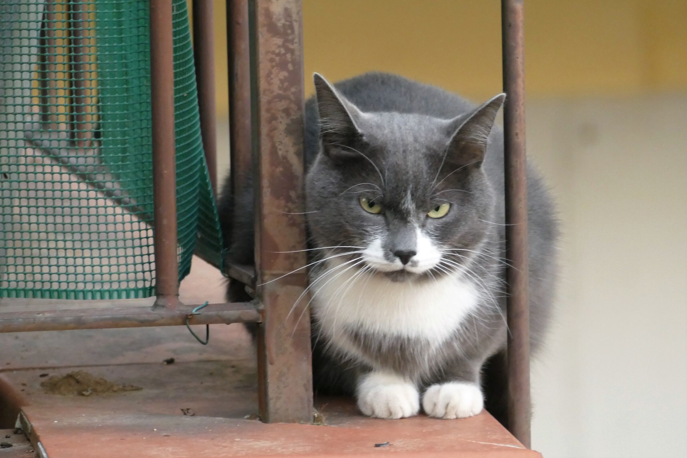 human..... I did not authorize you to take pictures of me