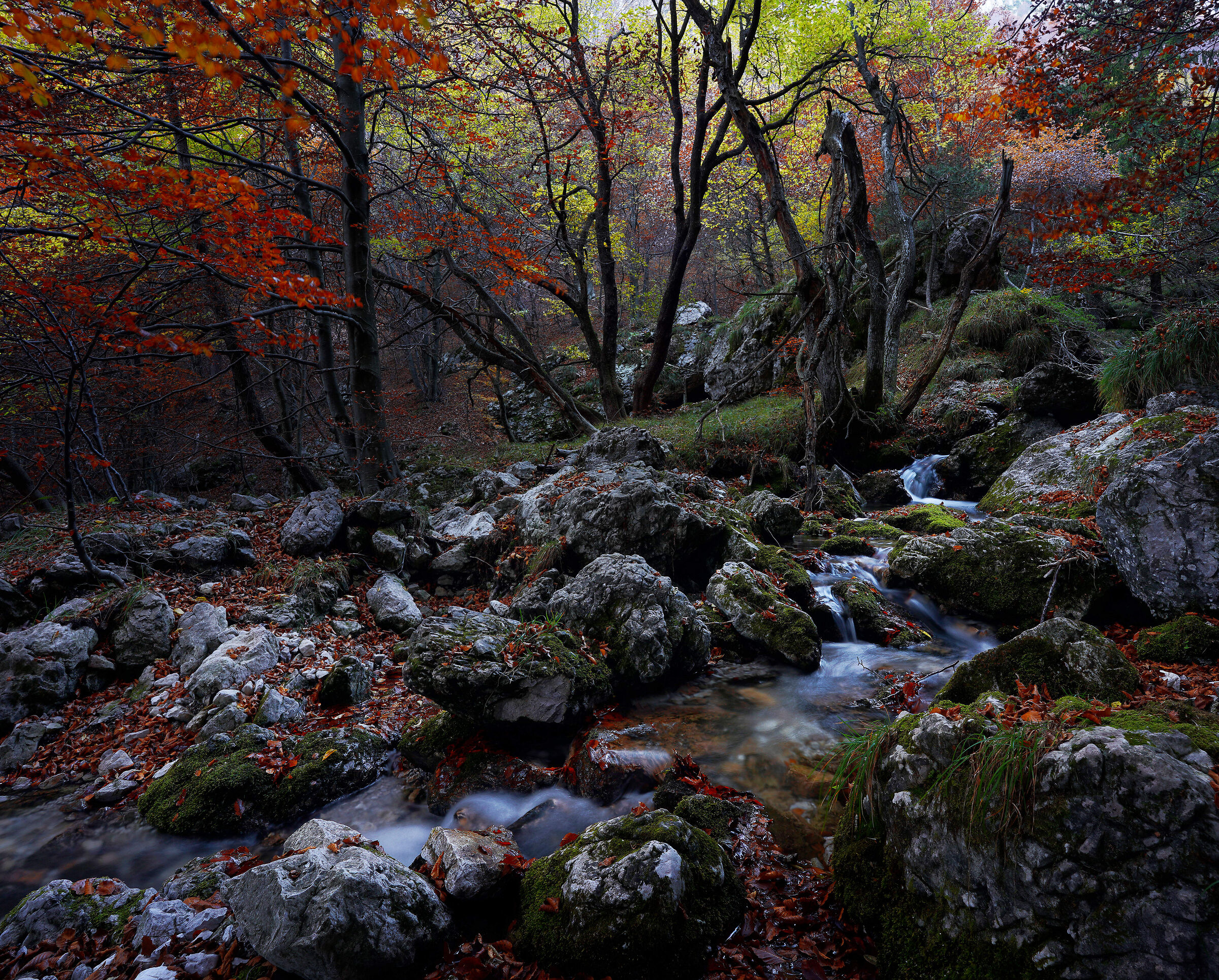 The magic of autumn