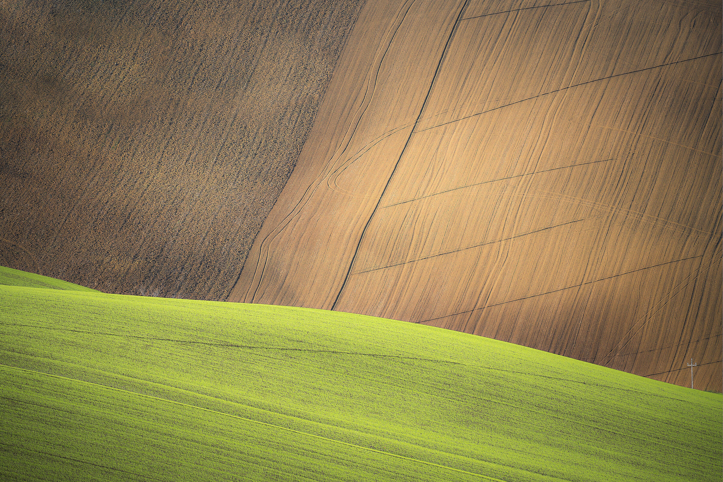 Marche 2021 - Monocultures